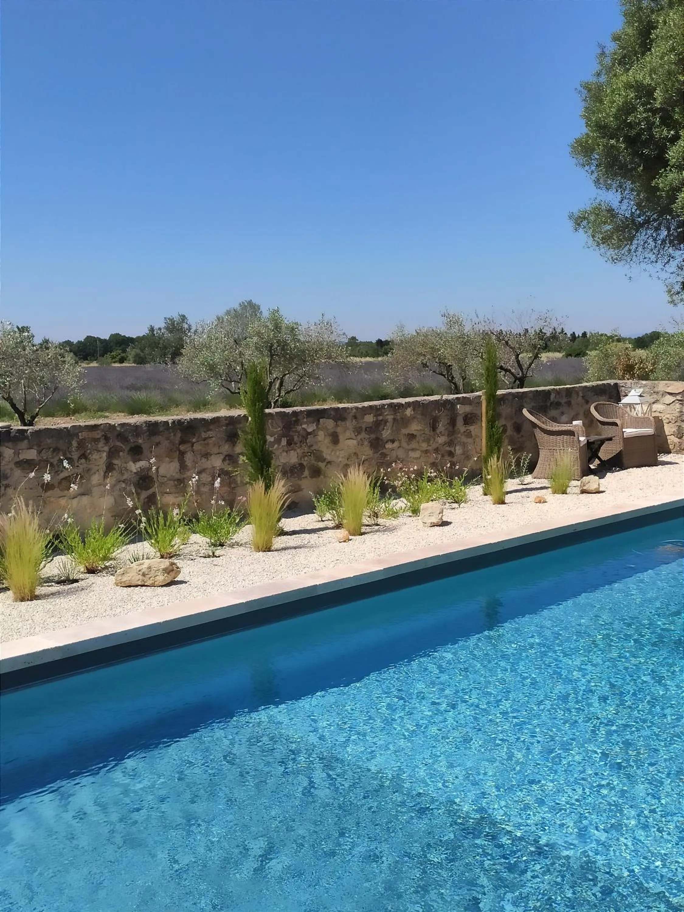 Swimming pool in Les Champs de Provence