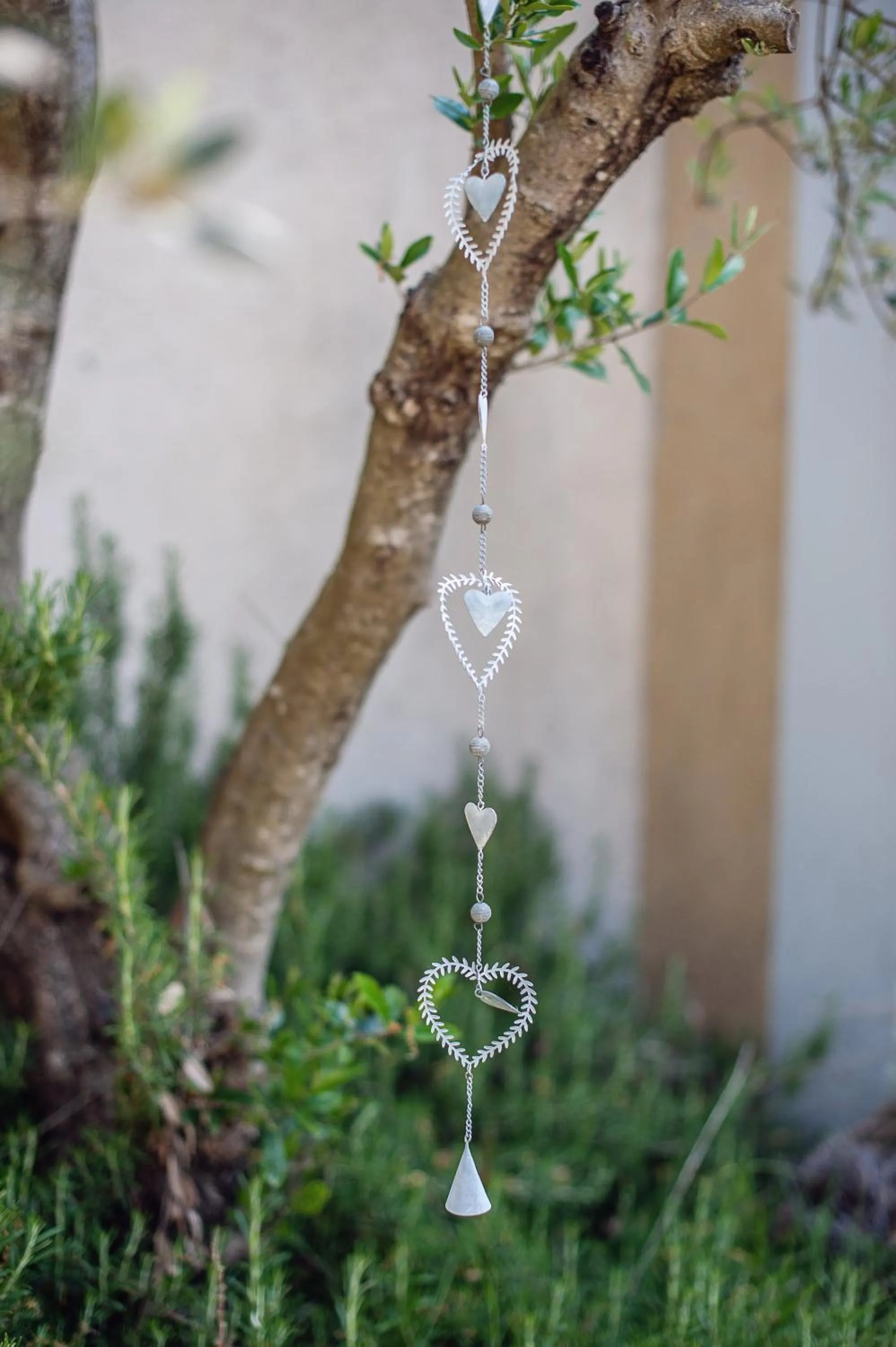 Garden in Les Champs de Provence