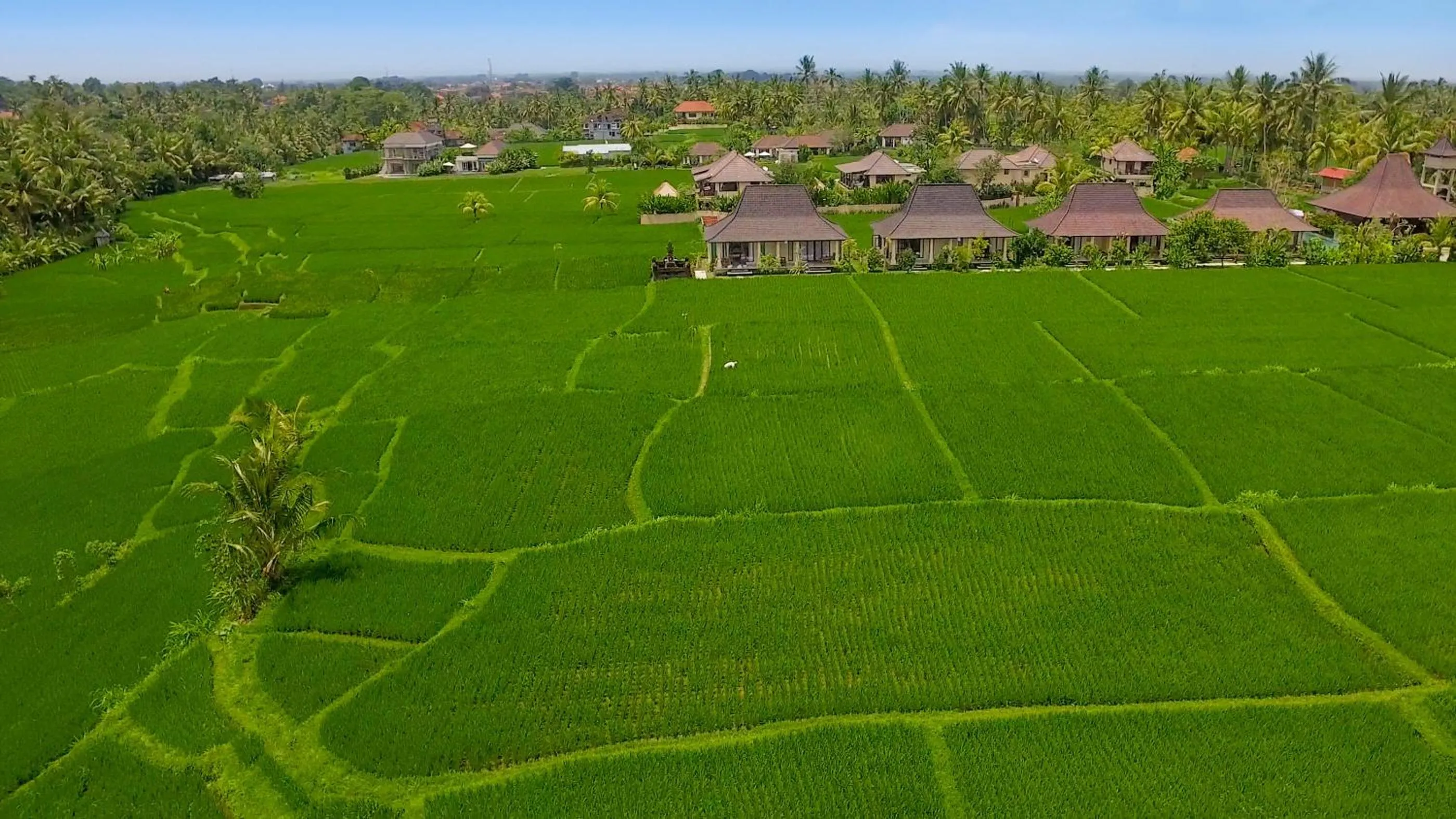 Natural landscape in Masia Villa Ubud