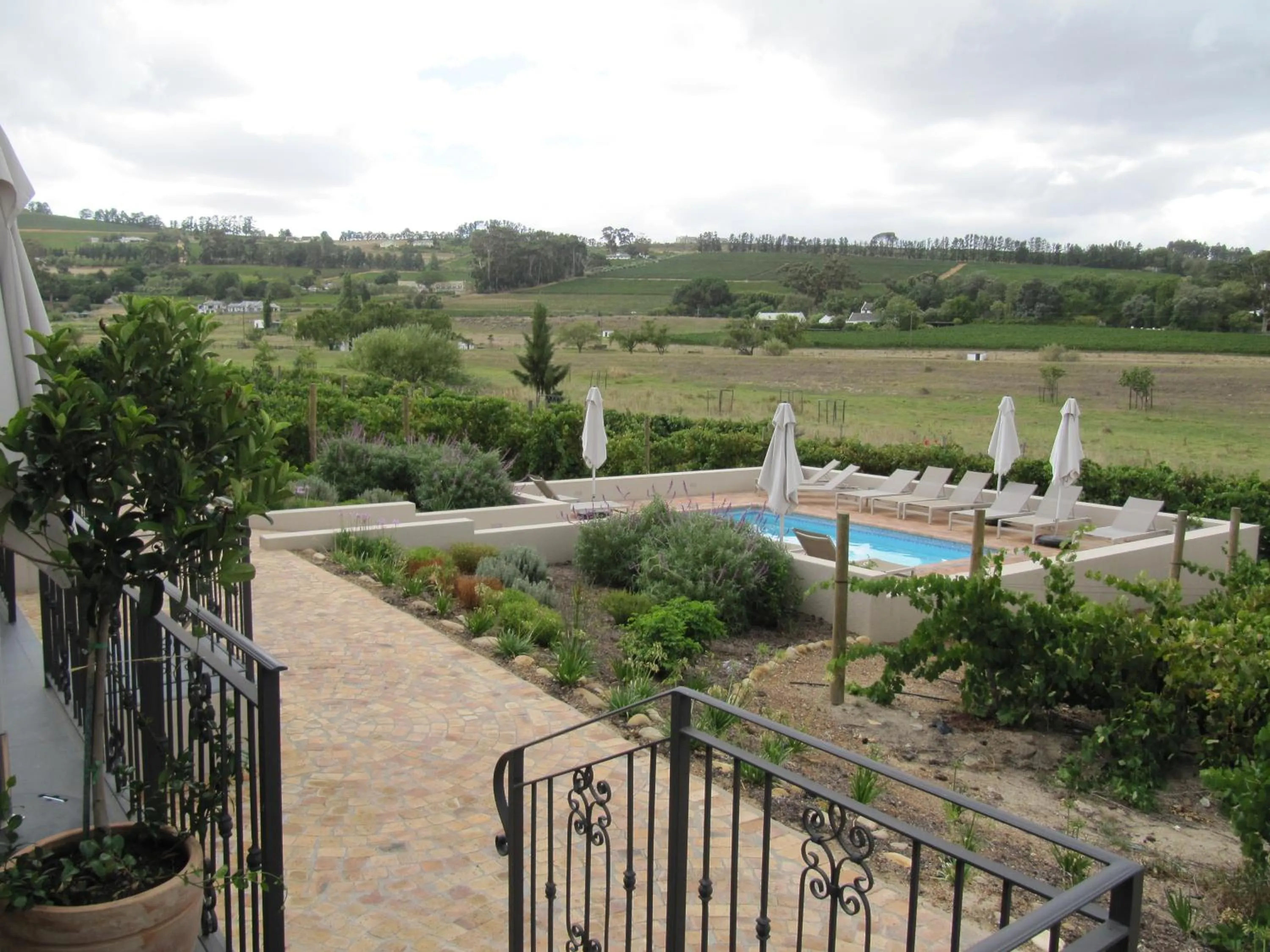 Garden view in Clos Malverne Wine Estate