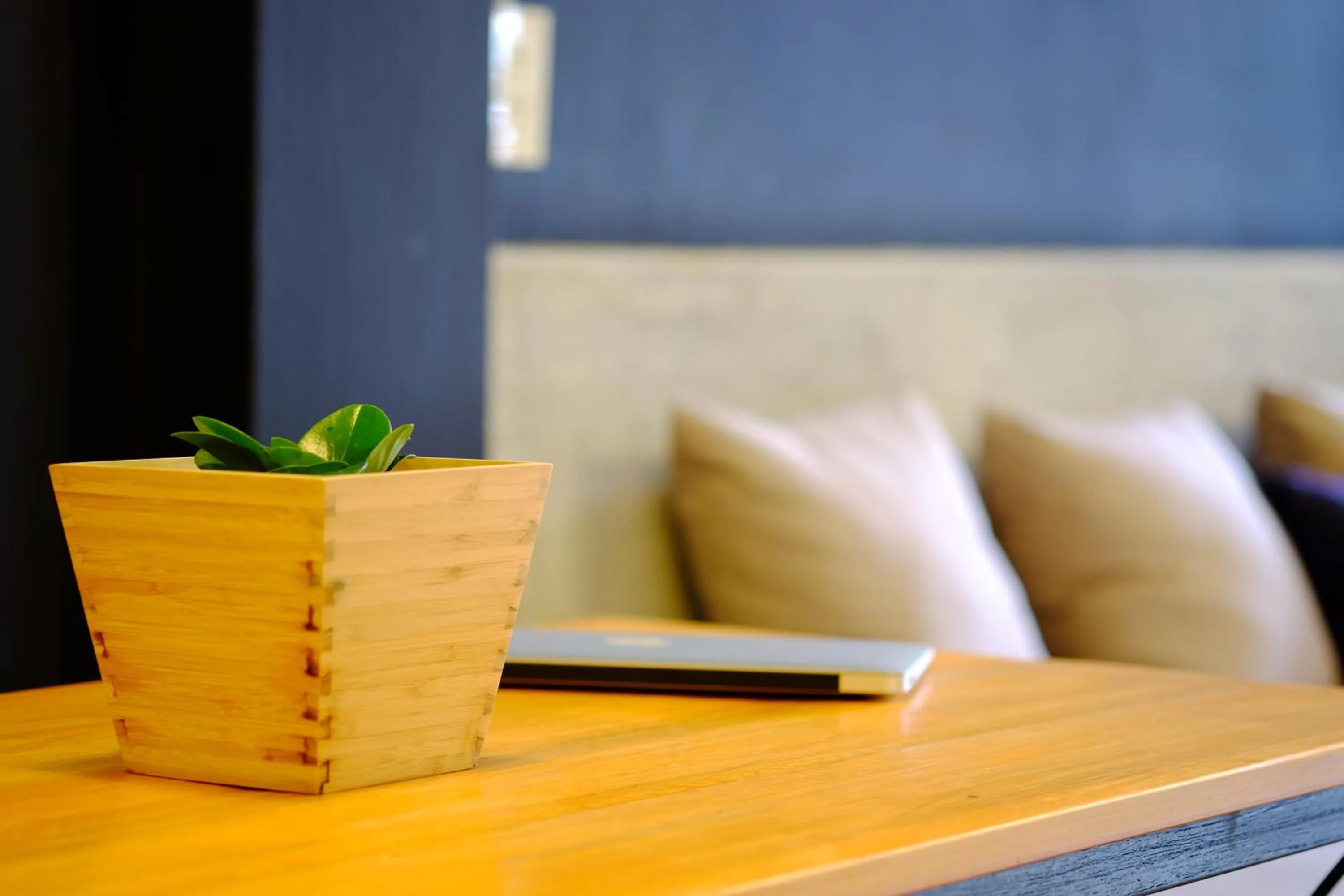 Lobby or reception in The Backpack Hostel