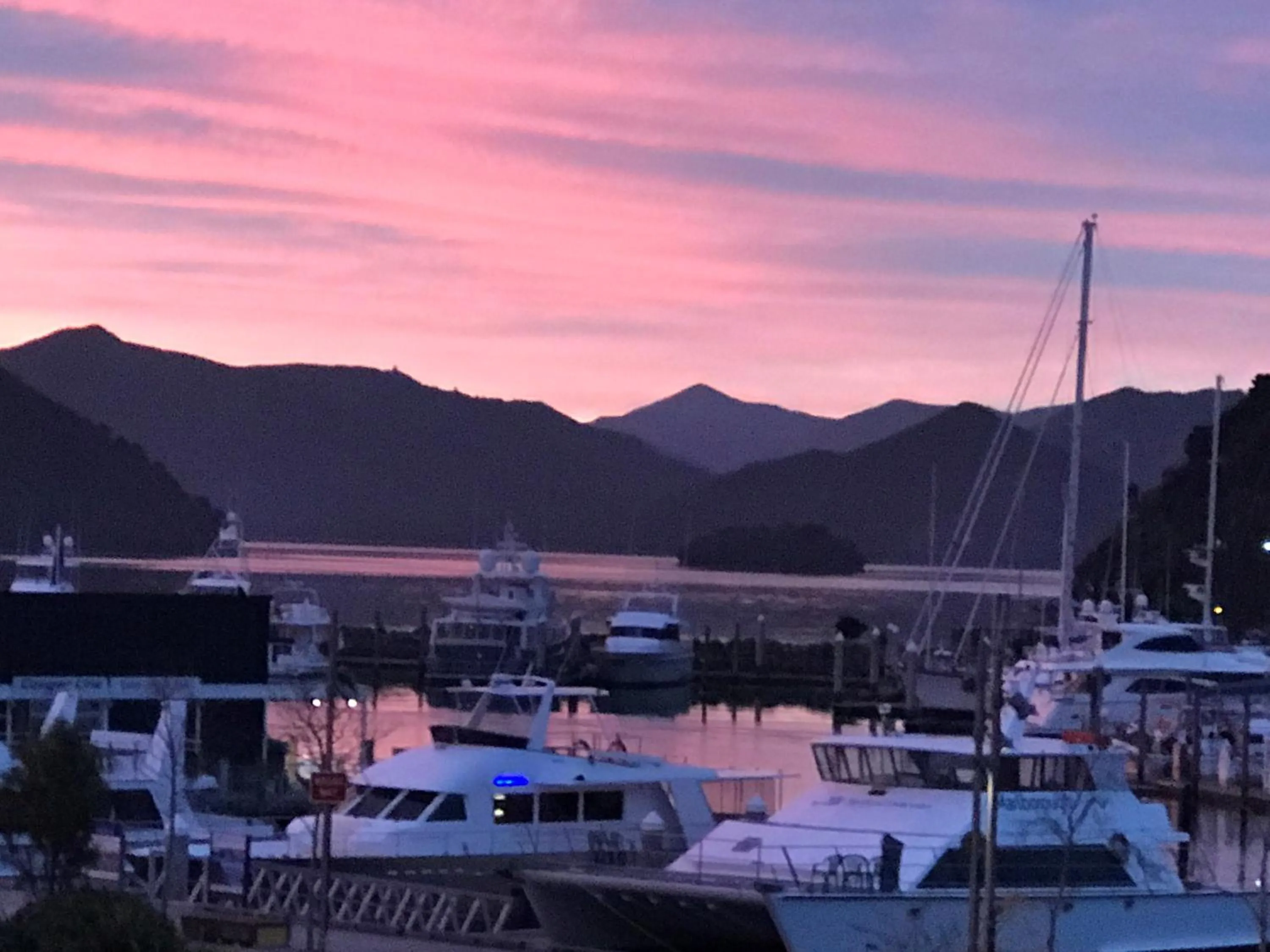 Picton Waterfront Apartments