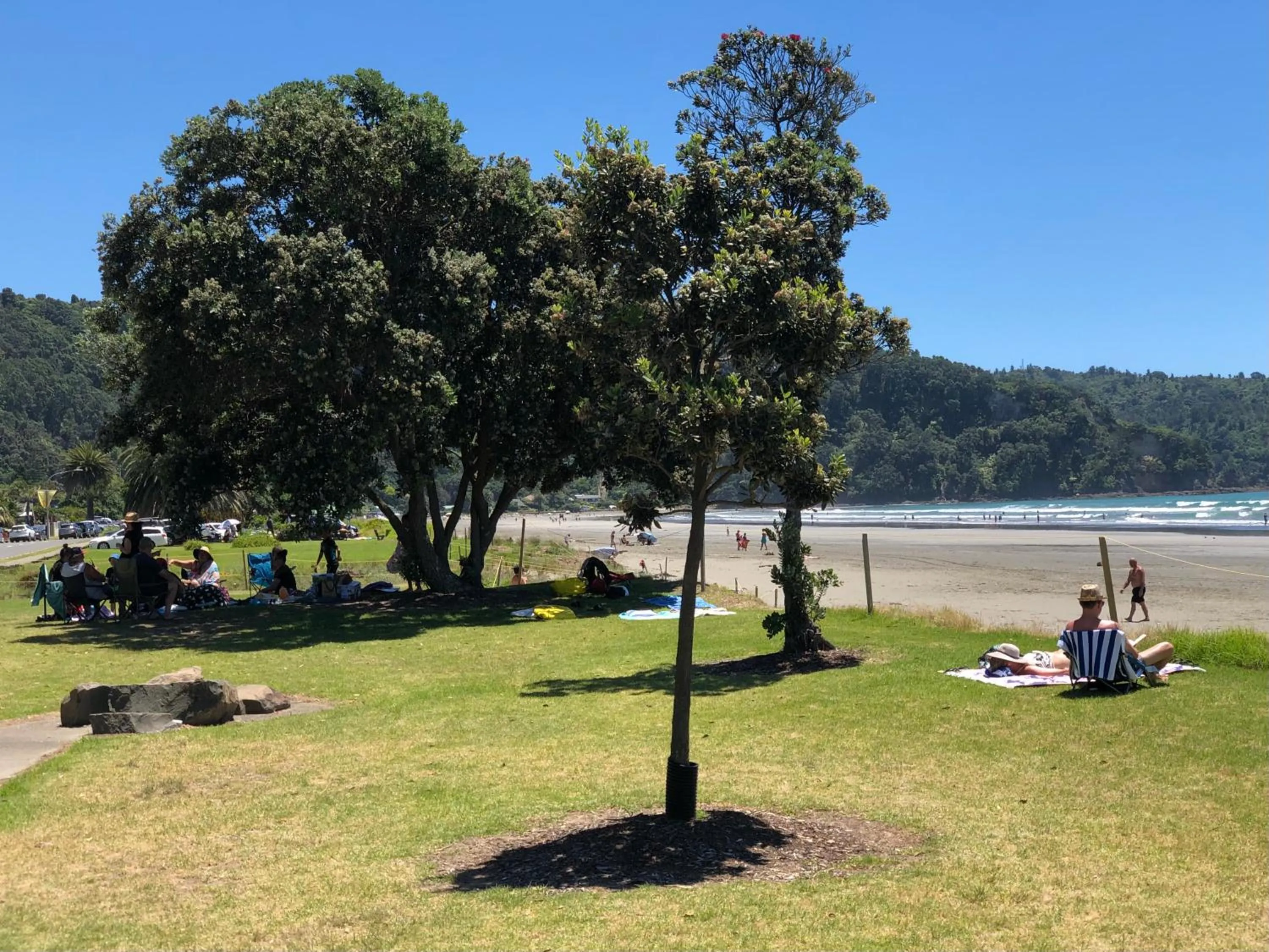 Natural landscape in Beachpoint Apartments