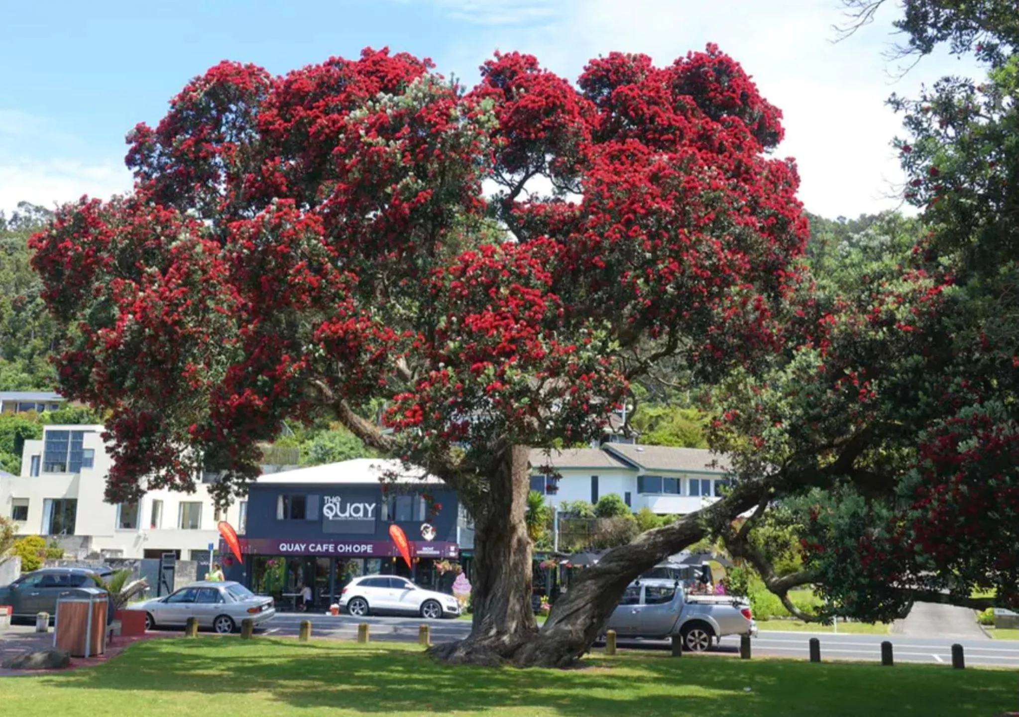 Summer in Beachpoint Apartments
