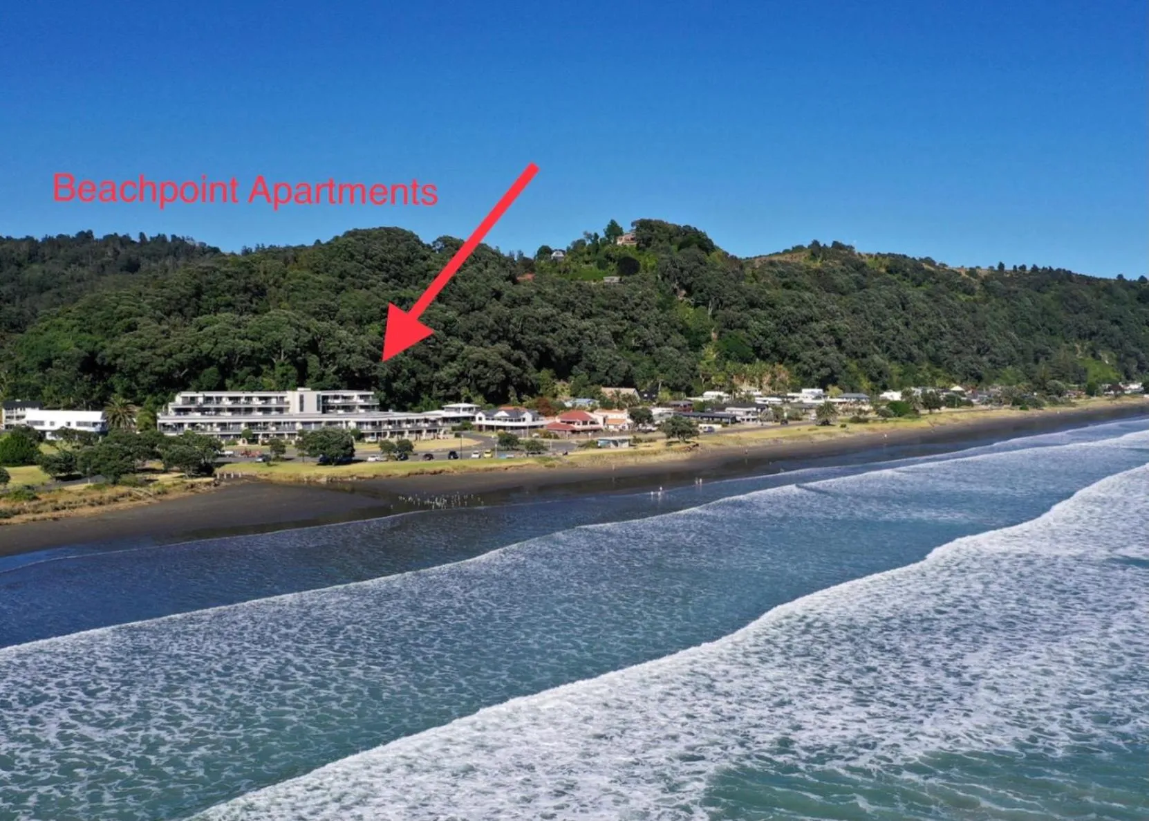 Deluxe One-Bedroom Apartment in Beachpoint Apartments