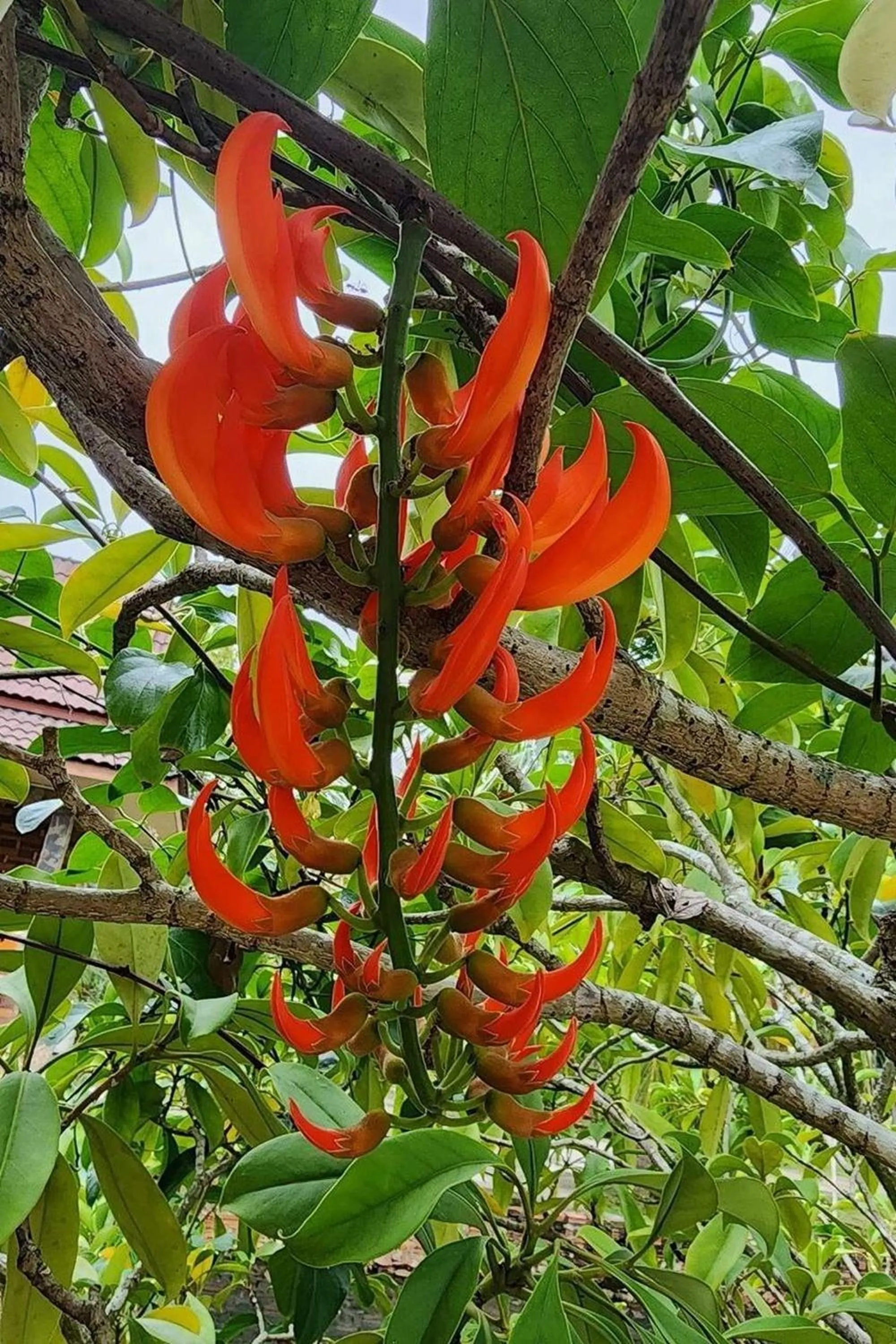 Area and facilities in M Resort