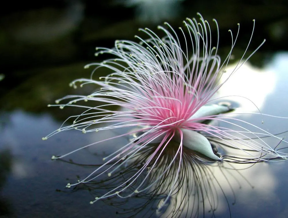 Other in Ilmare Unarizaki