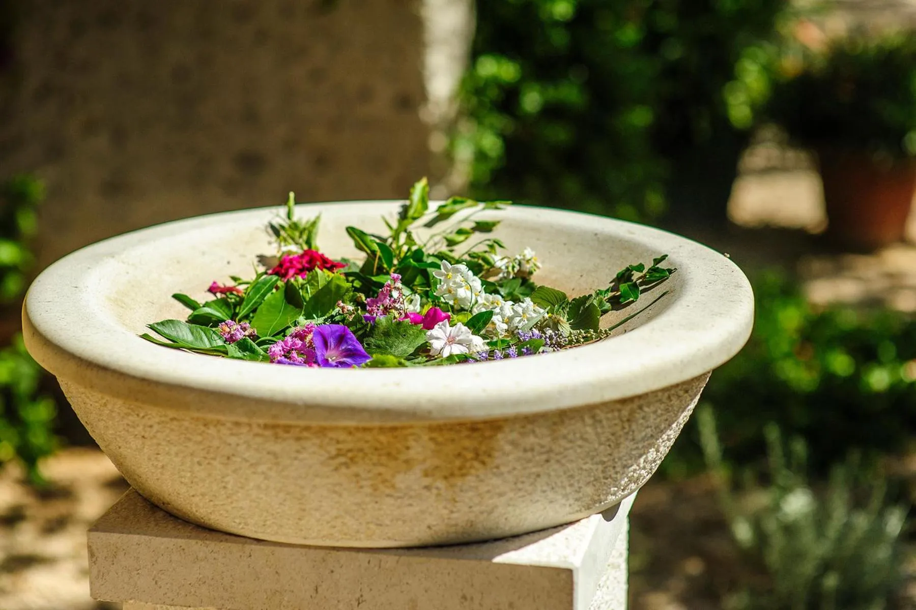 Massage in Mobile Homes Holiday Olive Garden