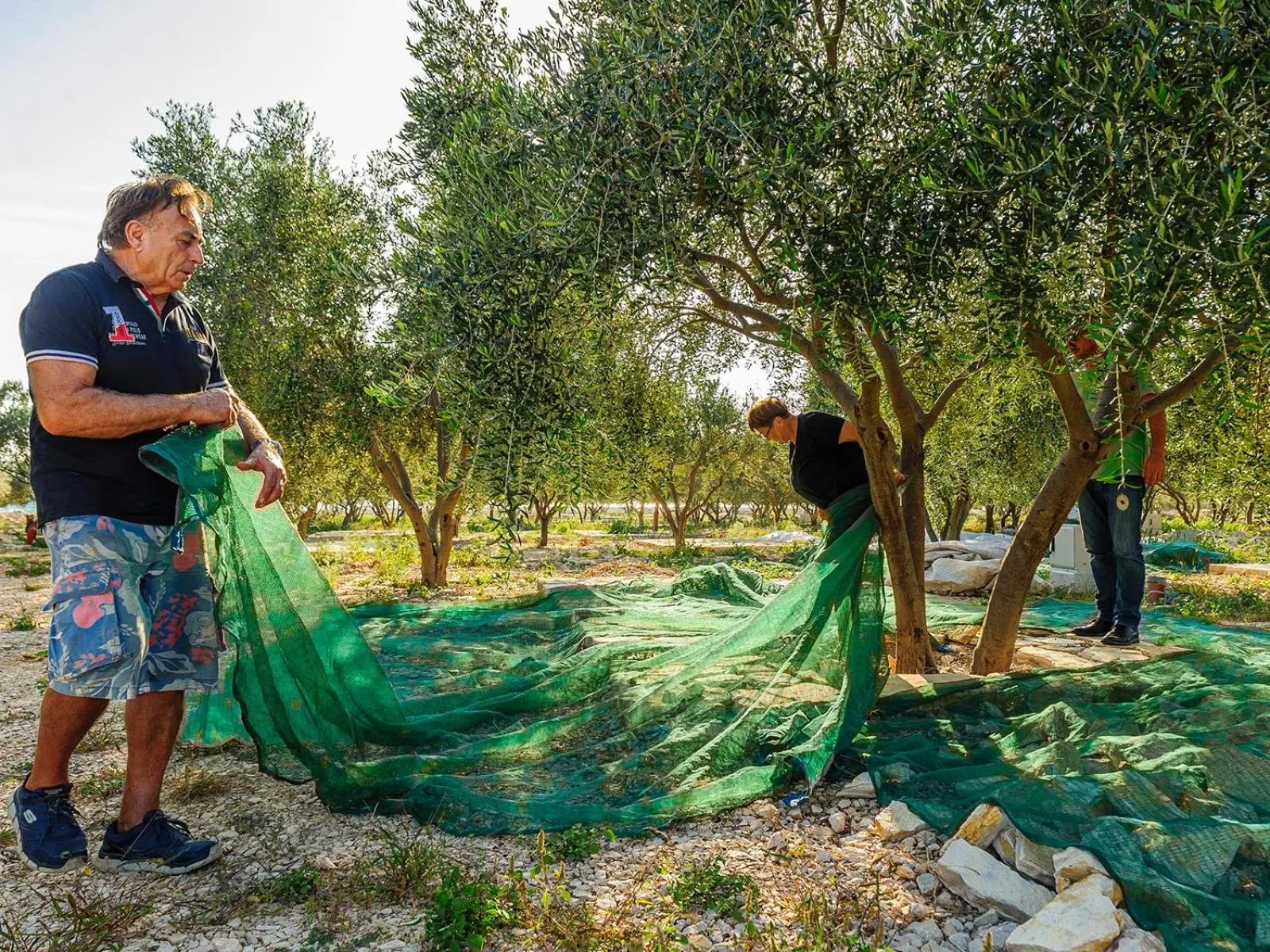 People in Mobile Homes Holiday Olive Garden