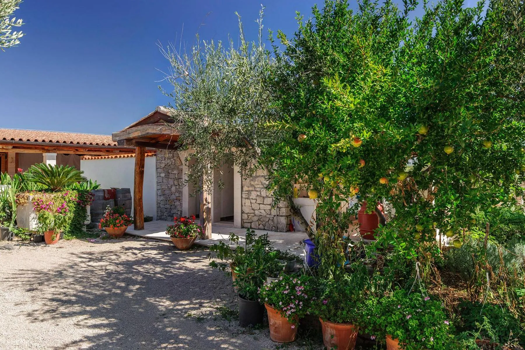 Property building in Mobile Homes Holiday Olive Garden