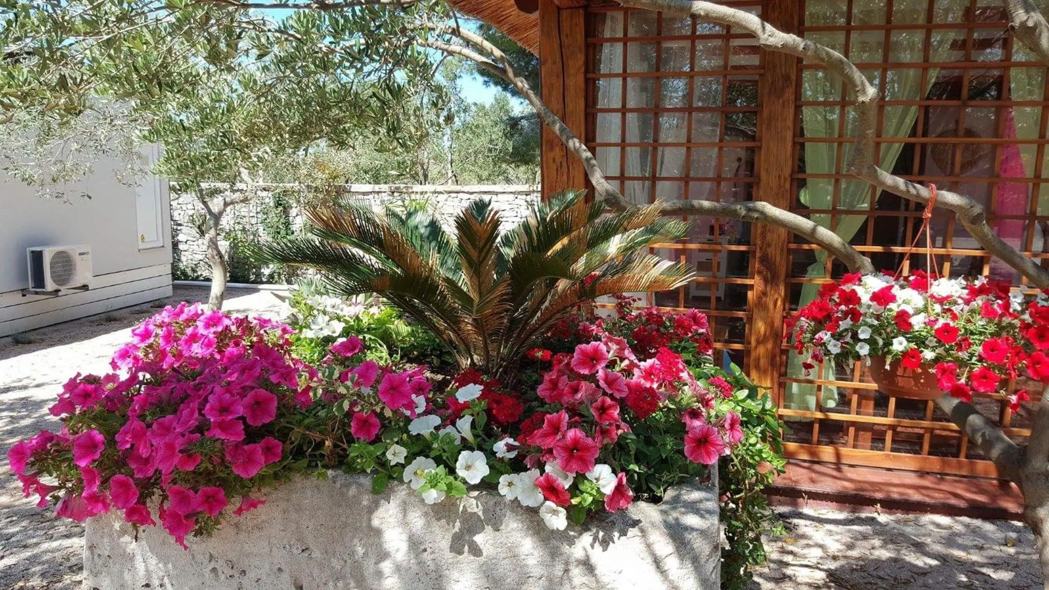 Garden in Mobile Homes Holiday Olive Garden