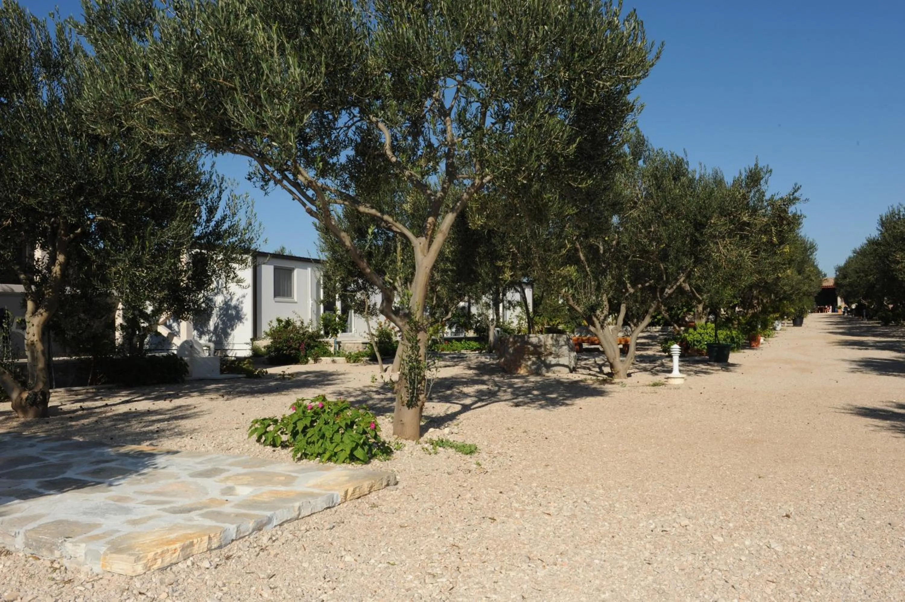 Natural landscape in Mobile Homes Holiday Olive Garden