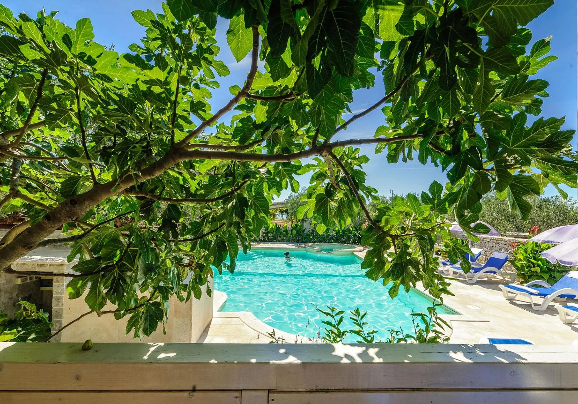 Swimming pool in Mobile Homes Holiday Olive Garden