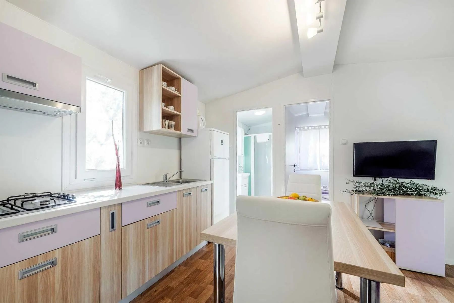 Kitchen or kitchenette in Mobile Homes Holiday Olive Garden