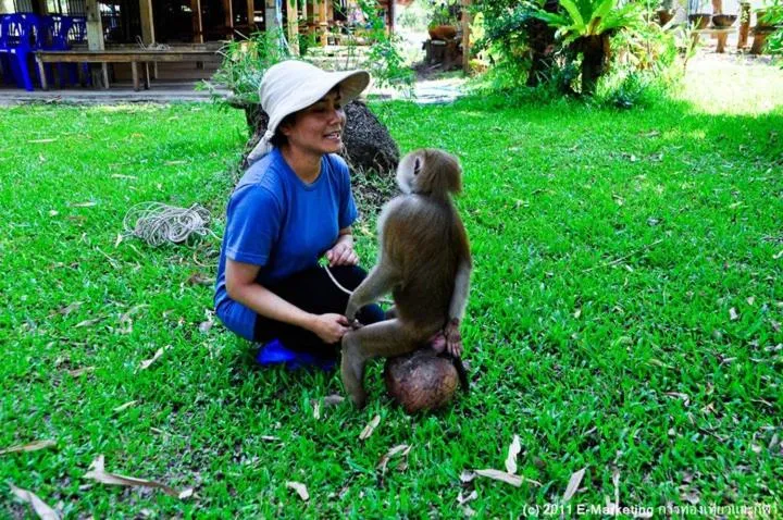 Entertainment in Ruean Thai Nai Bang by PANSAK Resort