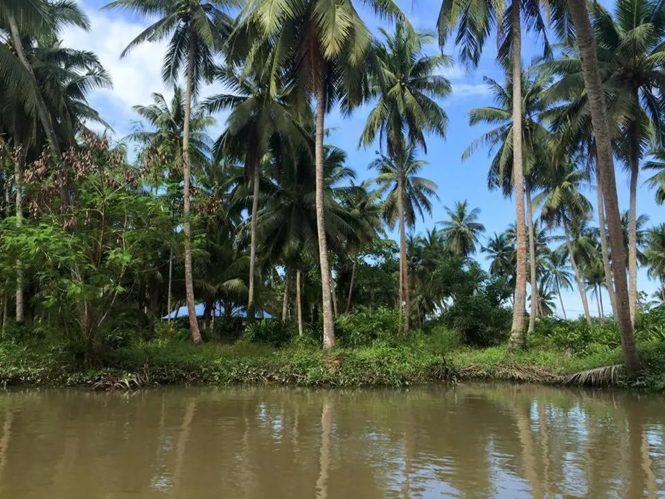 Natural landscape in Ruean Thai Nai Bang by PANSAK Resort
