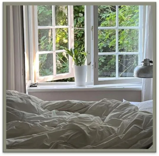 Bed in Edelsminde Bed & Breakfast