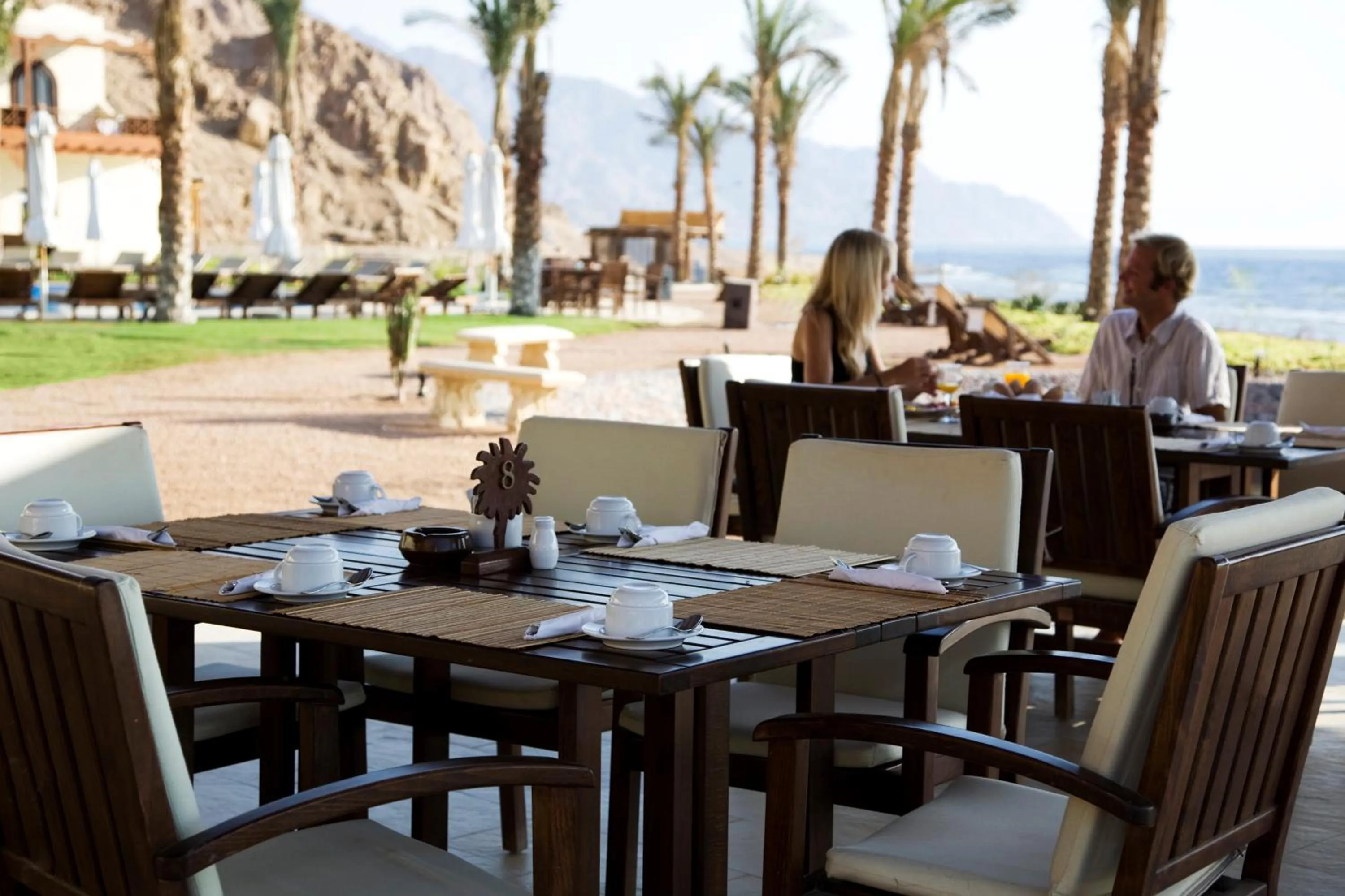 Restaurant/places to eat in Dahab Paradise