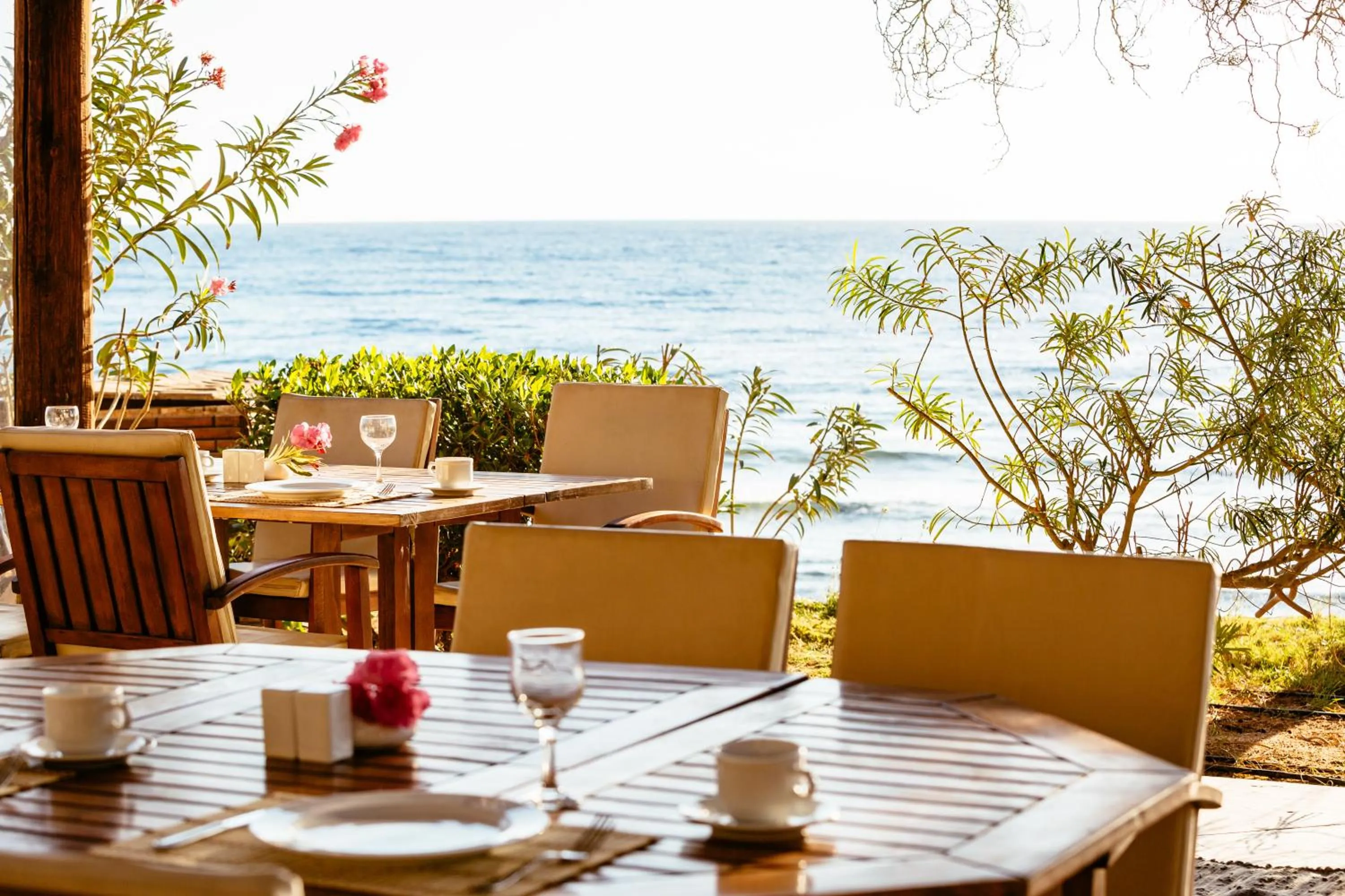 Breakfast in Dahab Paradise