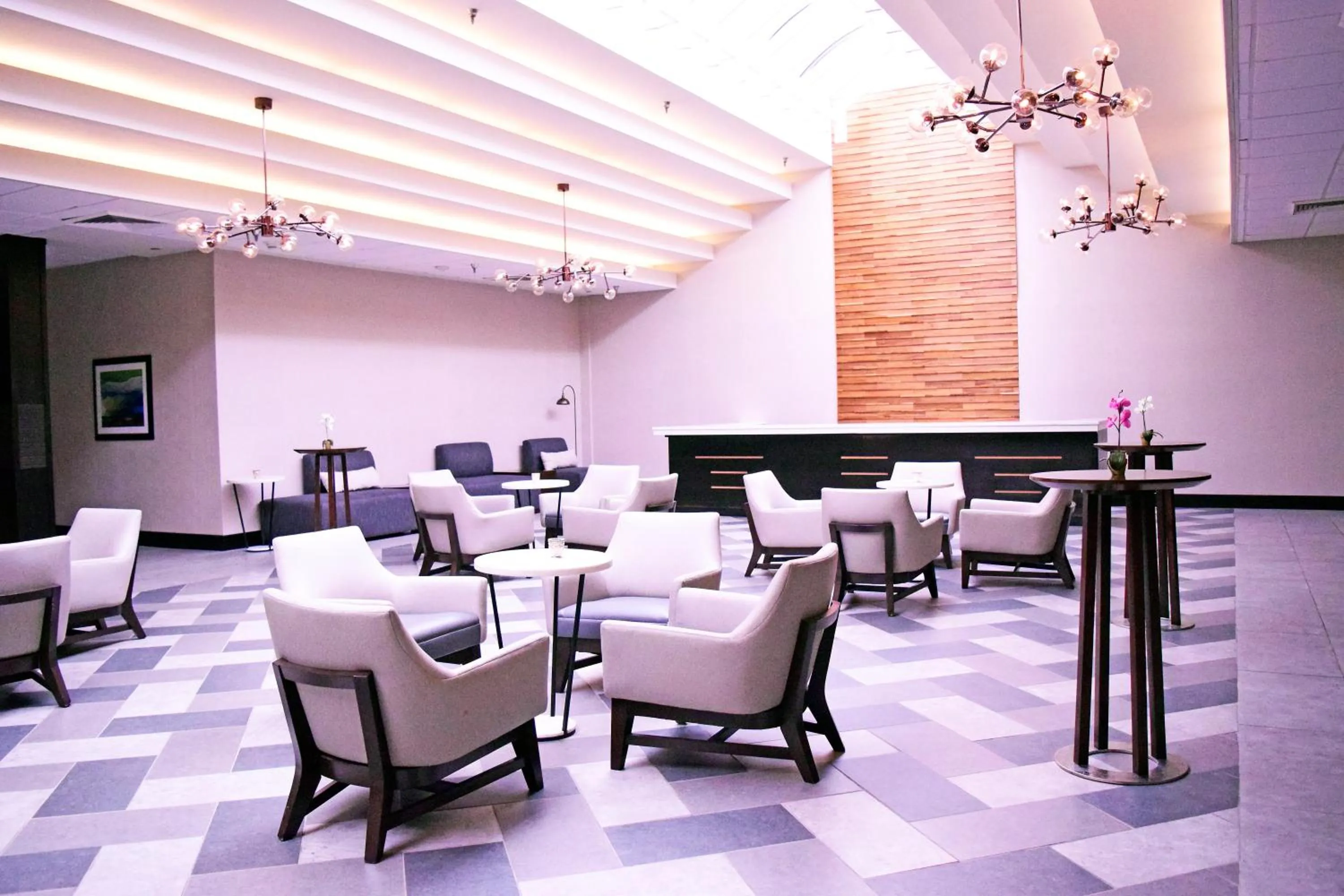 Meeting/conference room in Holiday Inn Alexandria - Downtown by IHG