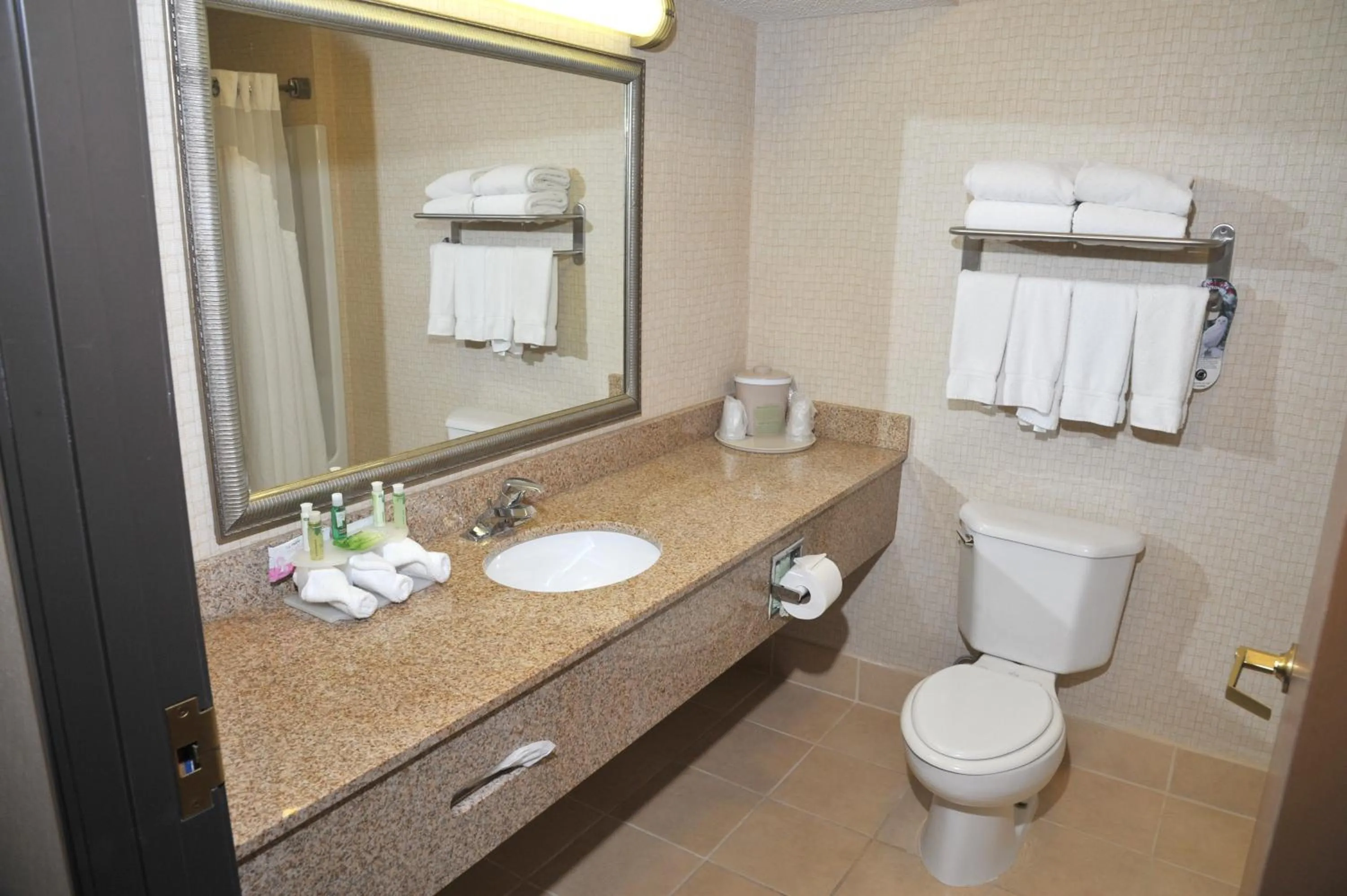 Bathroom in Wingate by Wyndham Ashland