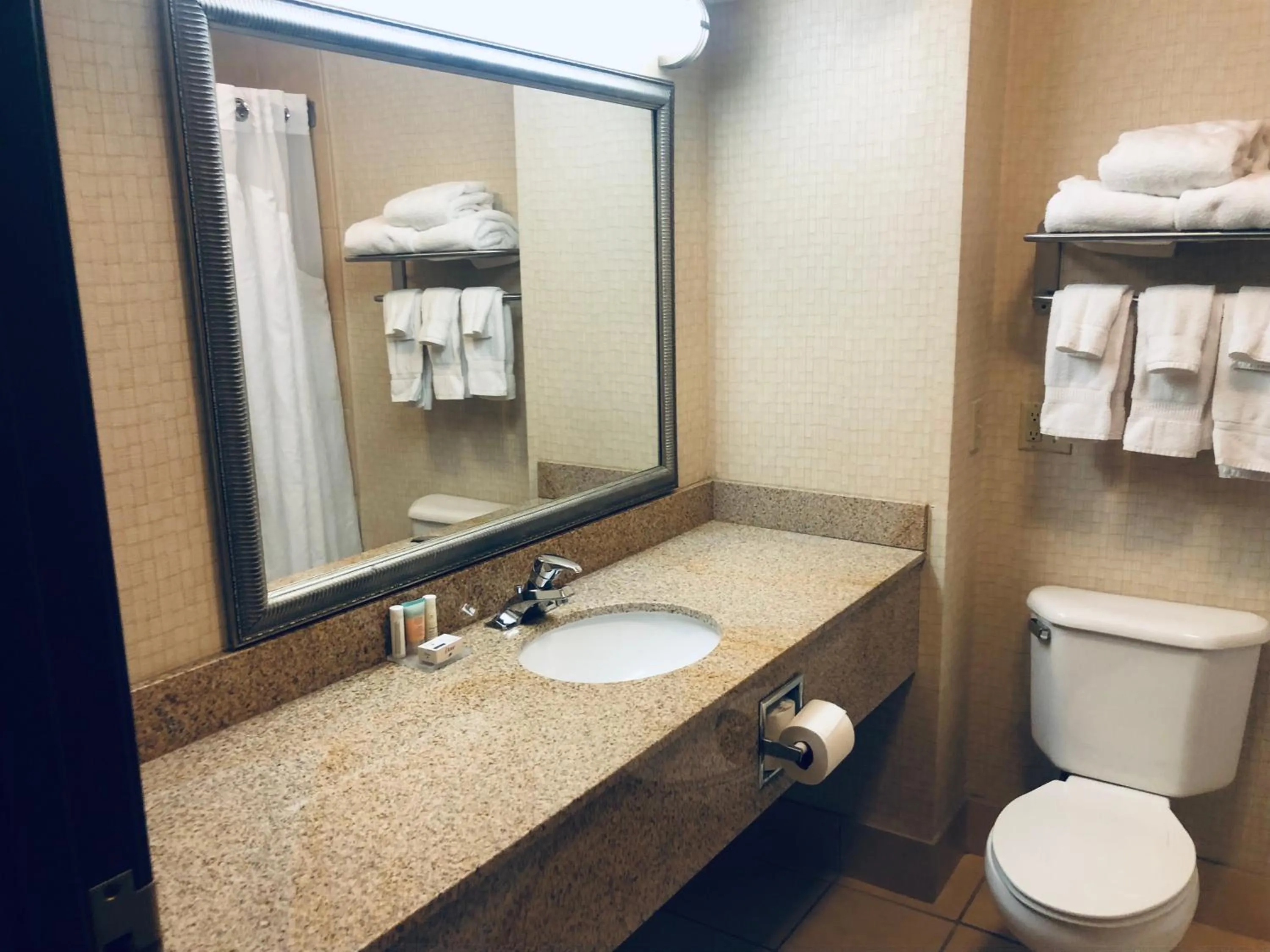 Bathroom in Wingate by Wyndham Ashland