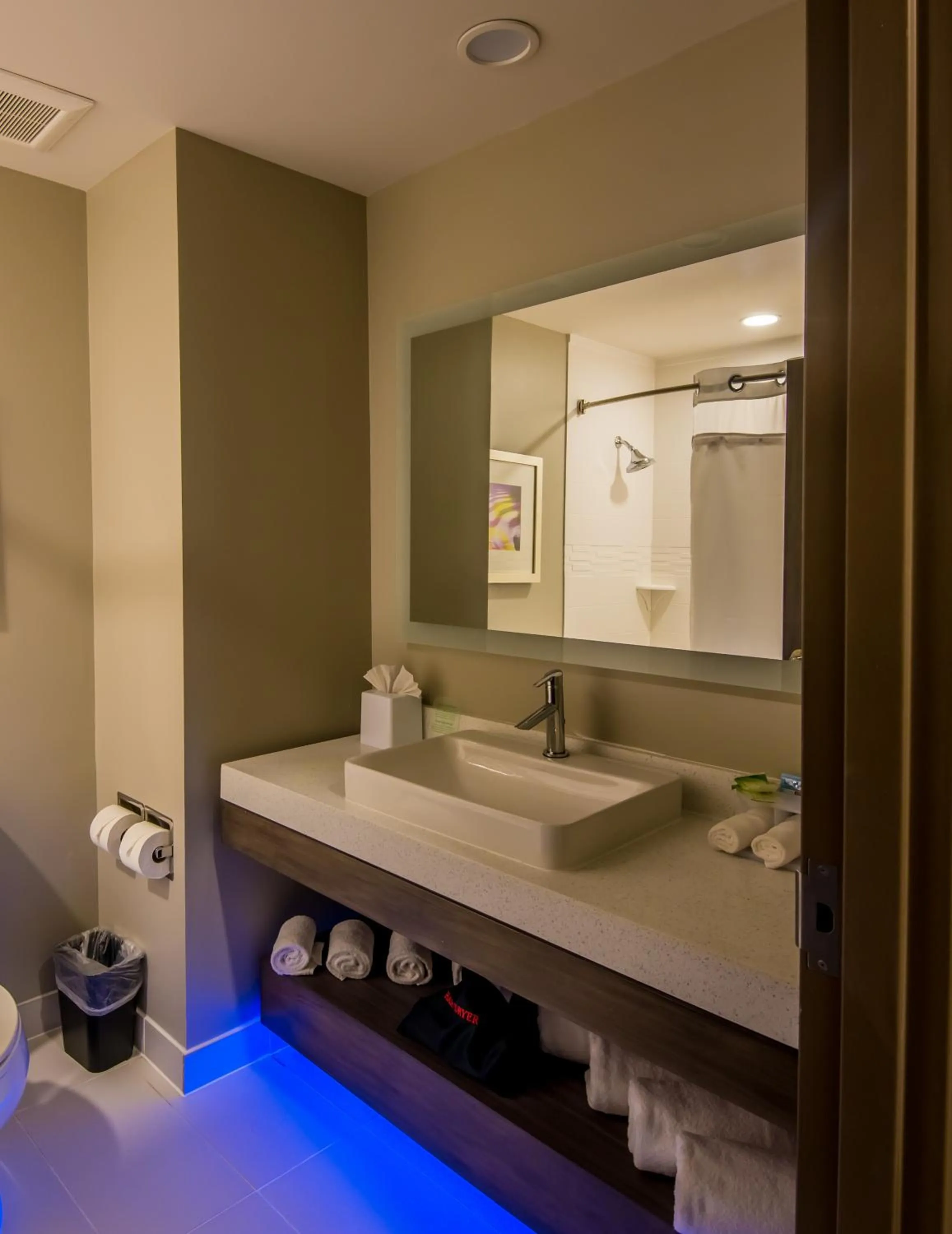 Bathroom in Holiday Inn Express & Suites Garland E - Lake Hubbard I30 by IHG