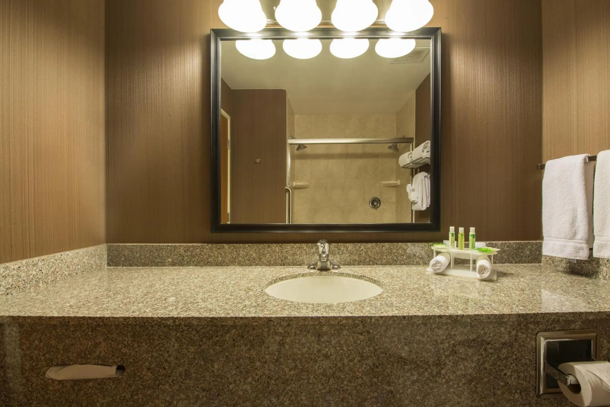 Bathroom in Holiday Inn Express & Suites Douglas by IHG