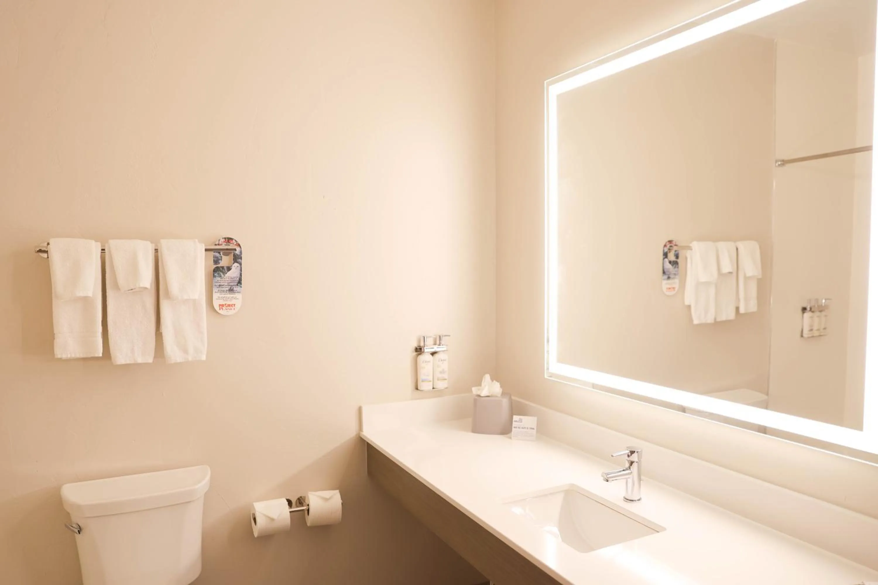 towels in Holiday Inn Express & Suites Douglas by IHG