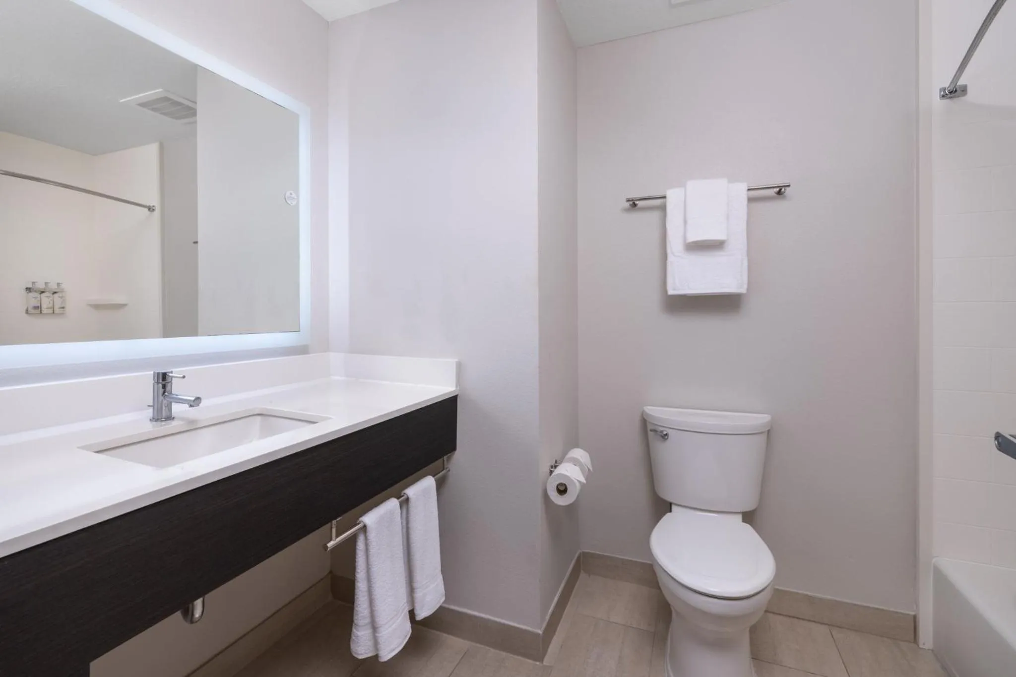 Bathroom in Holiday Inn Express & Suites Lakeland South by IHG