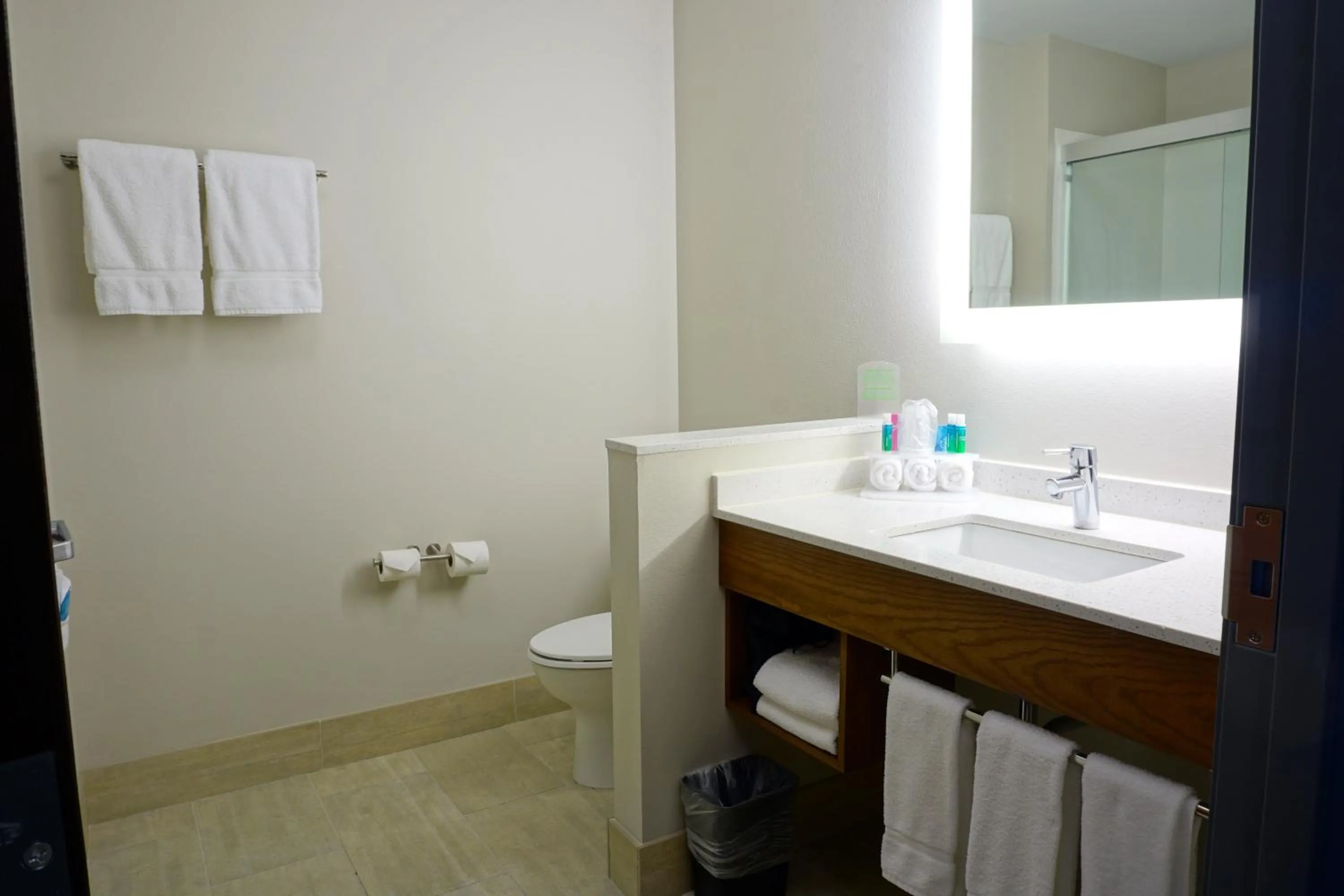 Bathroom in Holiday Inn Express & Suites Omaha - Millard Area by IHG