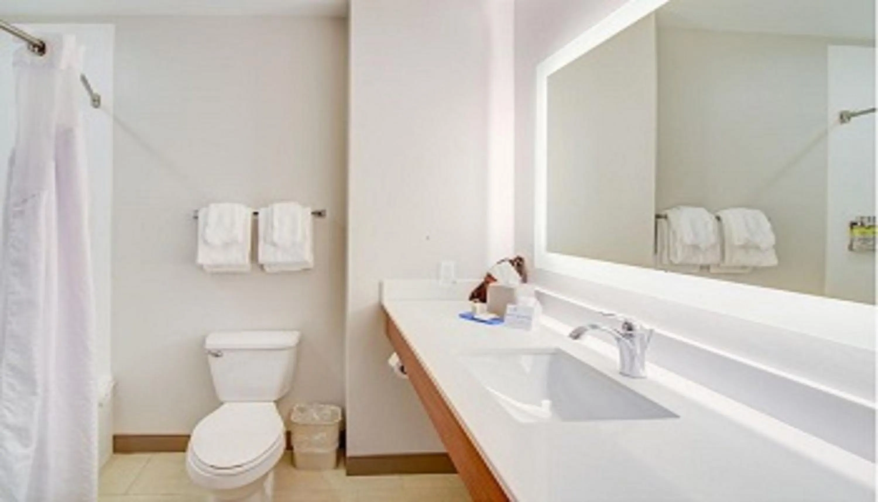 Bathroom in Holiday Inn Express & Suites Quincy I-10 by IHG