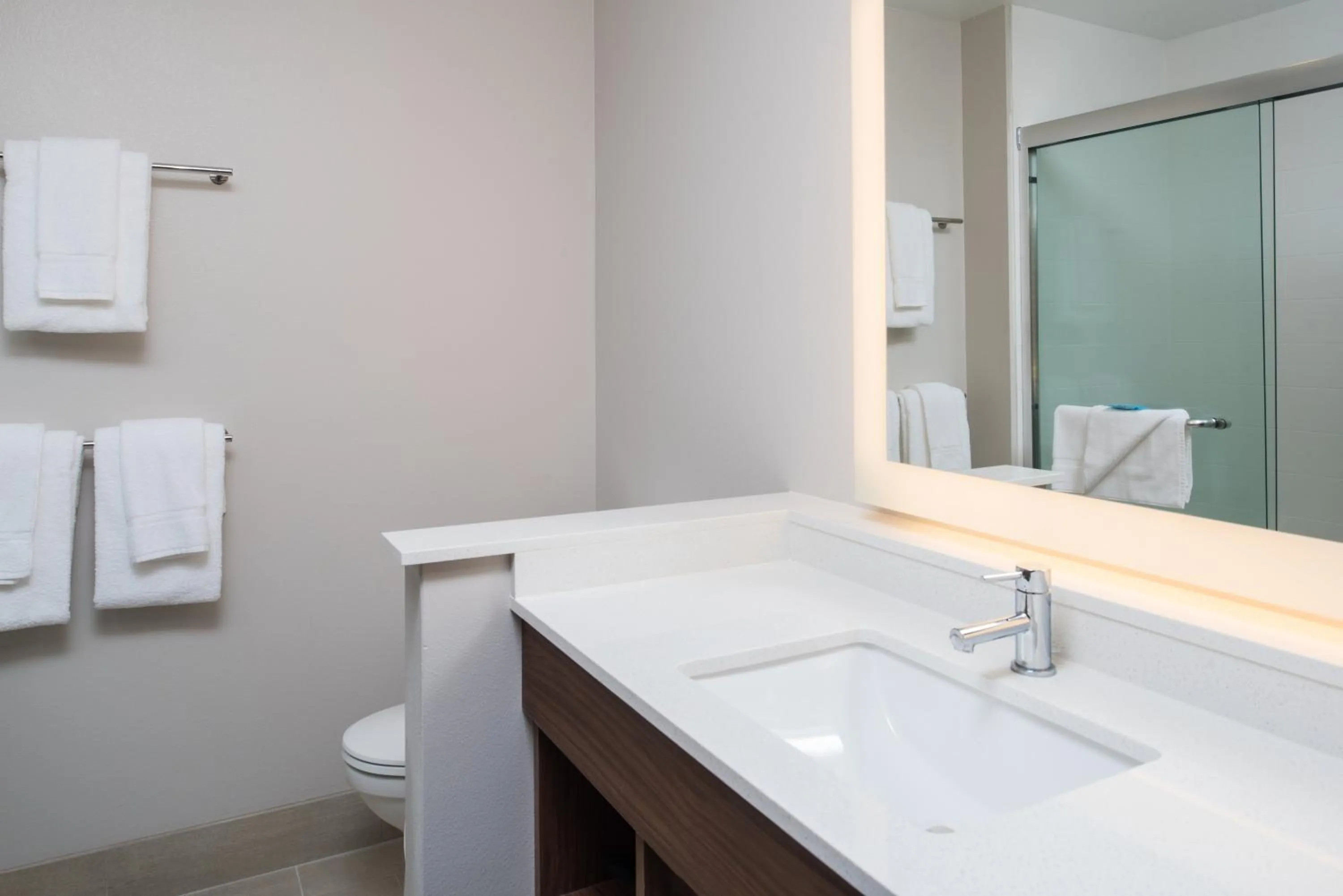 Bathroom in Holiday Inn Express & Suites Ruston by IHG