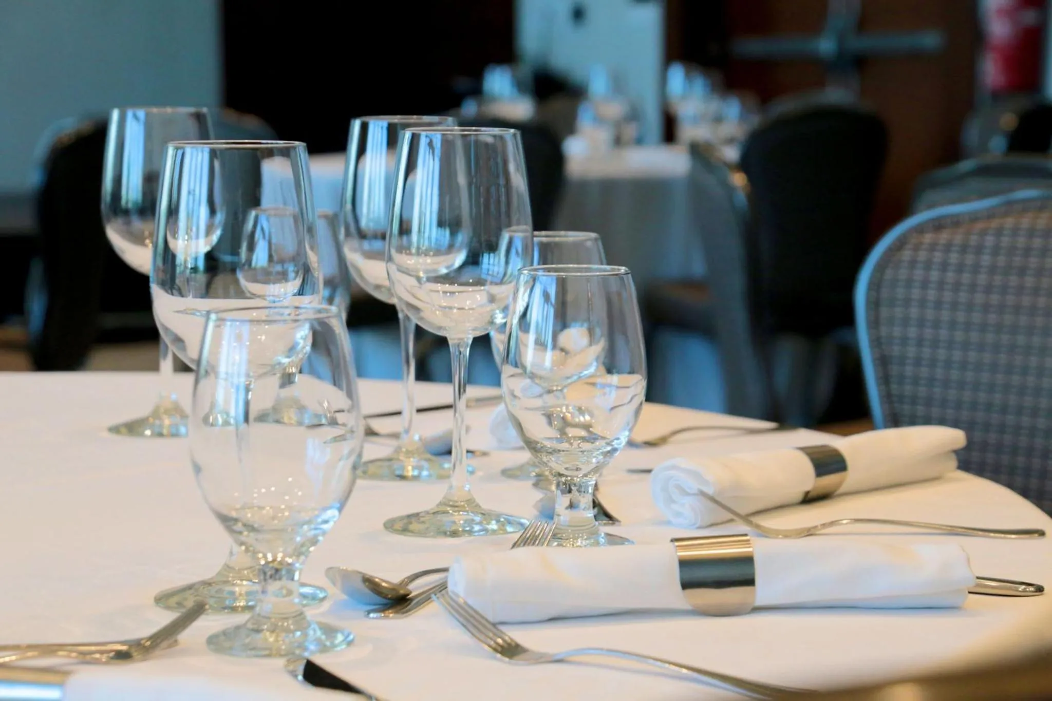 Banquet/Function facilities in InterContinental Real Santo Domingo by IHG