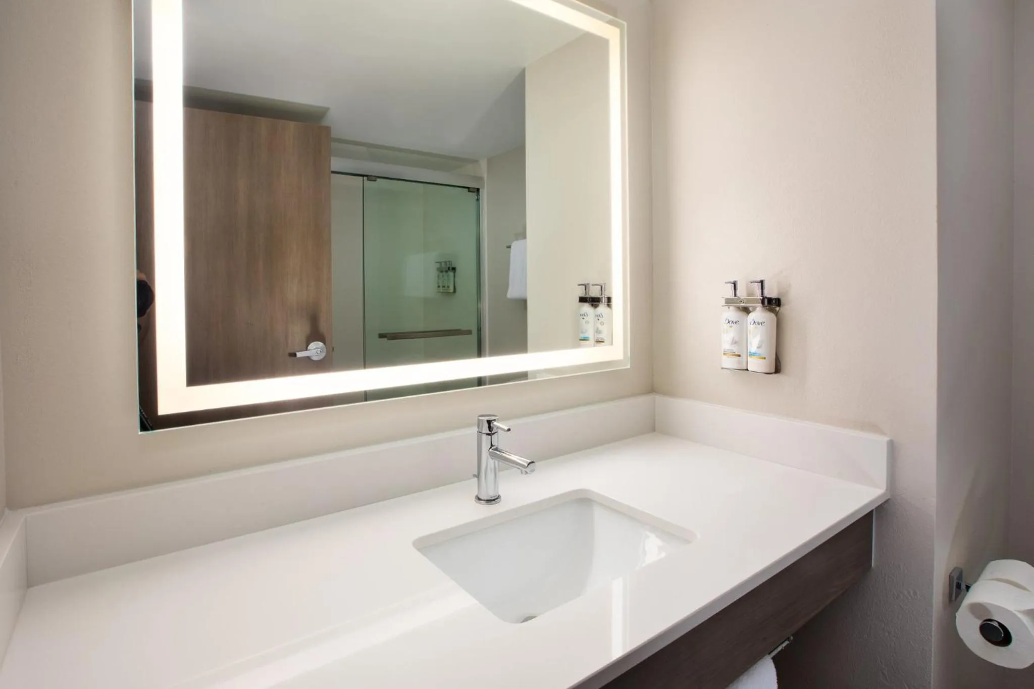 Bathroom in Holiday Inn Express & Suites I-26 & Us 29 At Westgate Mall by IHG