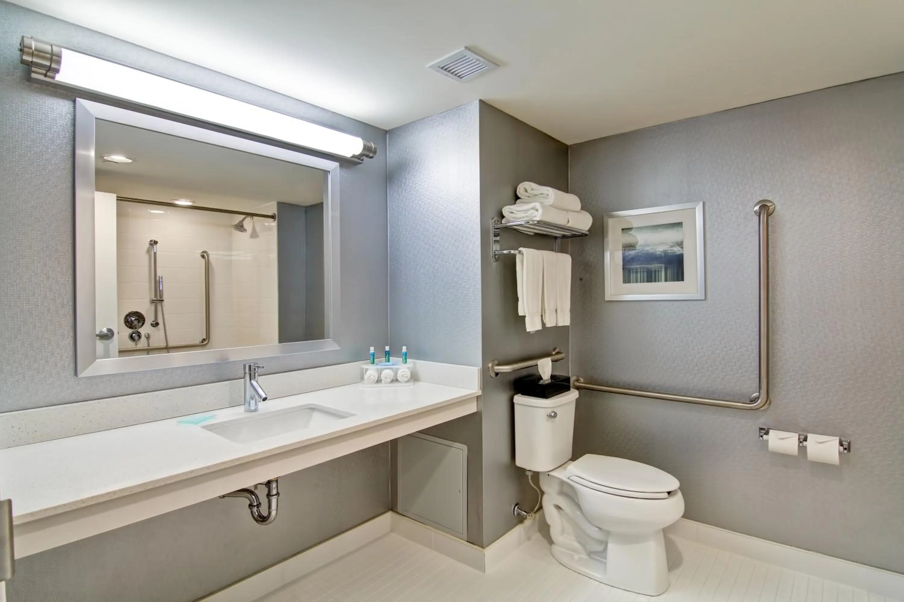 Bathroom in Holiday Inn Express & Suites Oshawa Downtown - Toronto Area by IHG