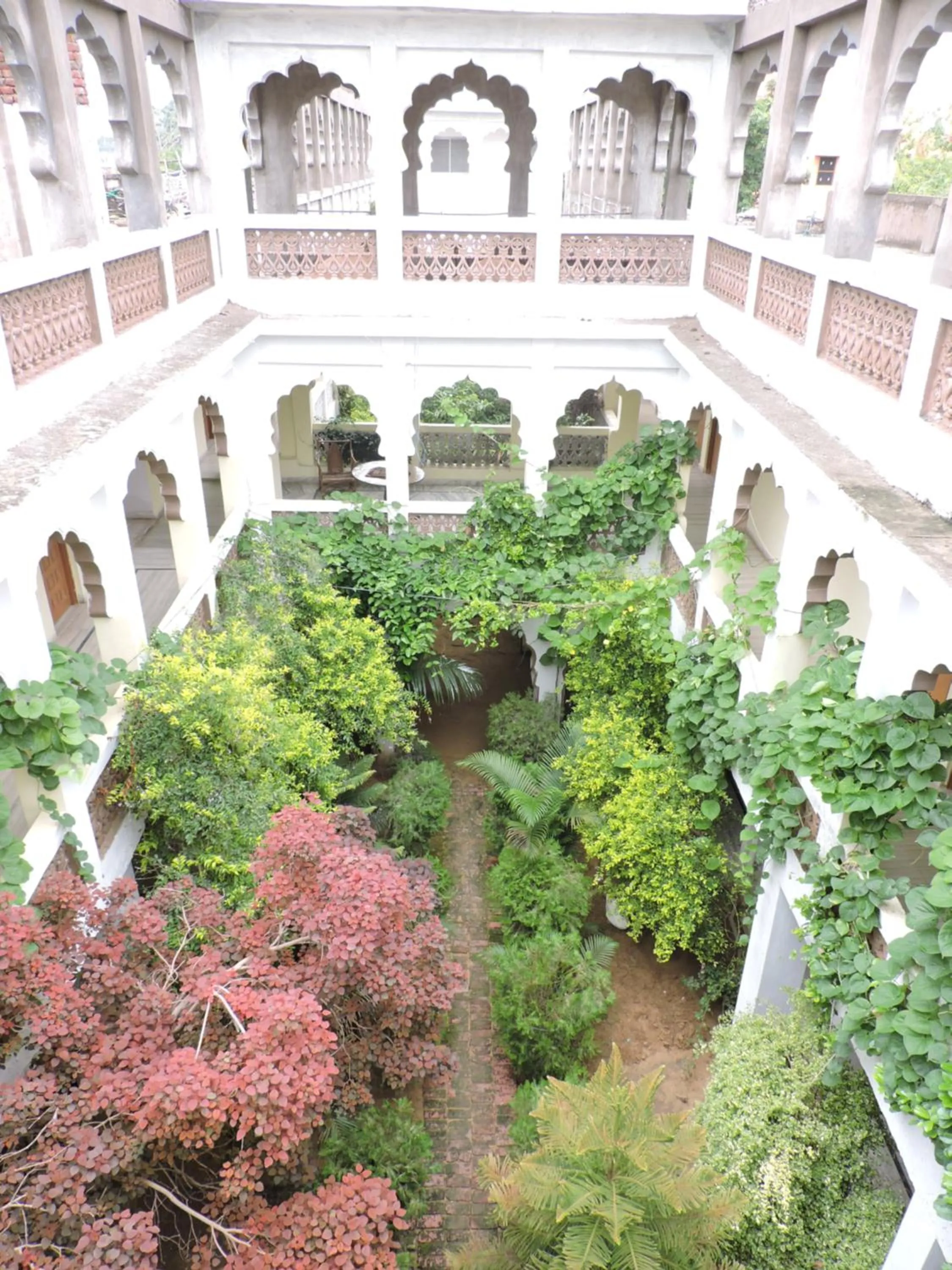 Natural landscape in Radhika Palace Hotel