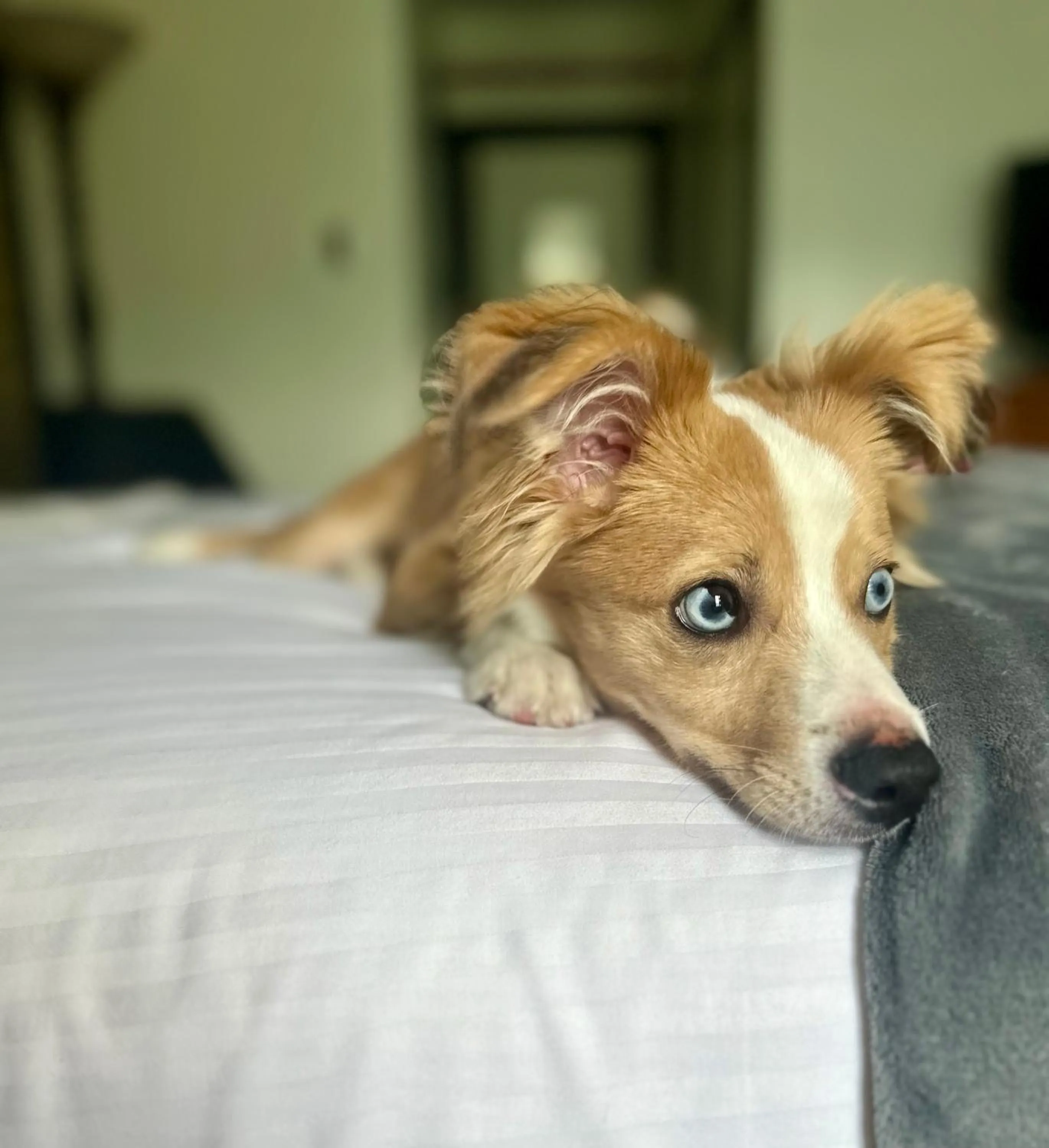 Bed in Latchis Hotel