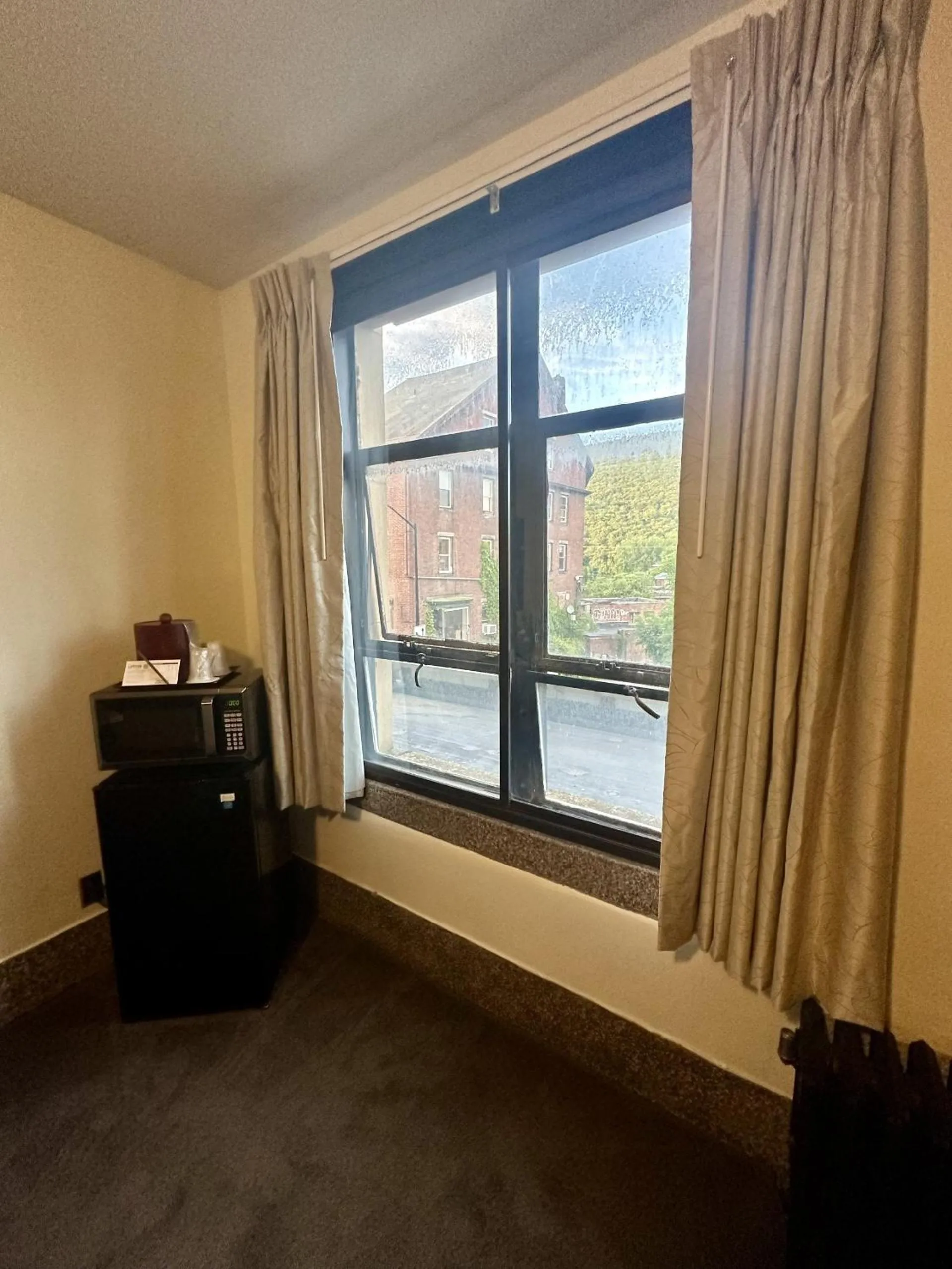 View (from property/room) in Latchis Hotel