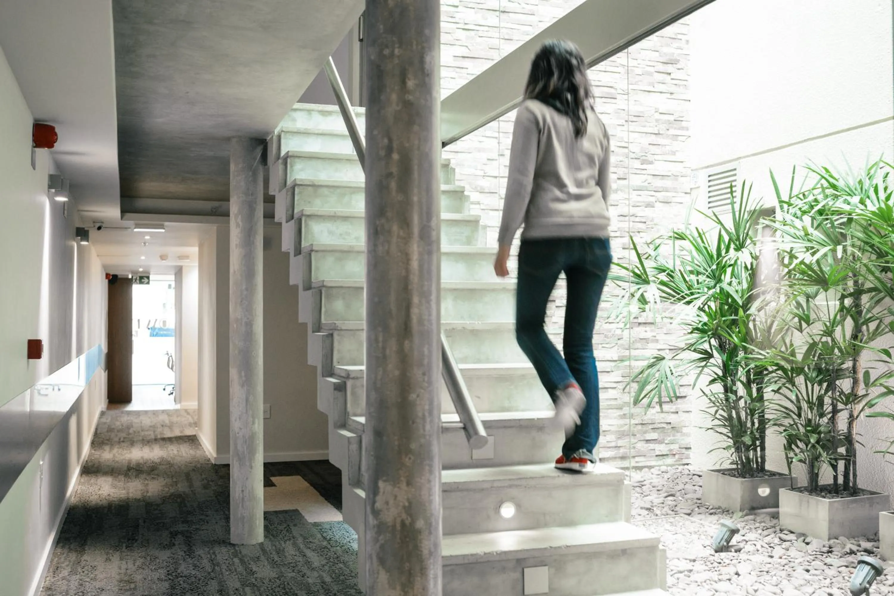 Property building in Own Montevideo