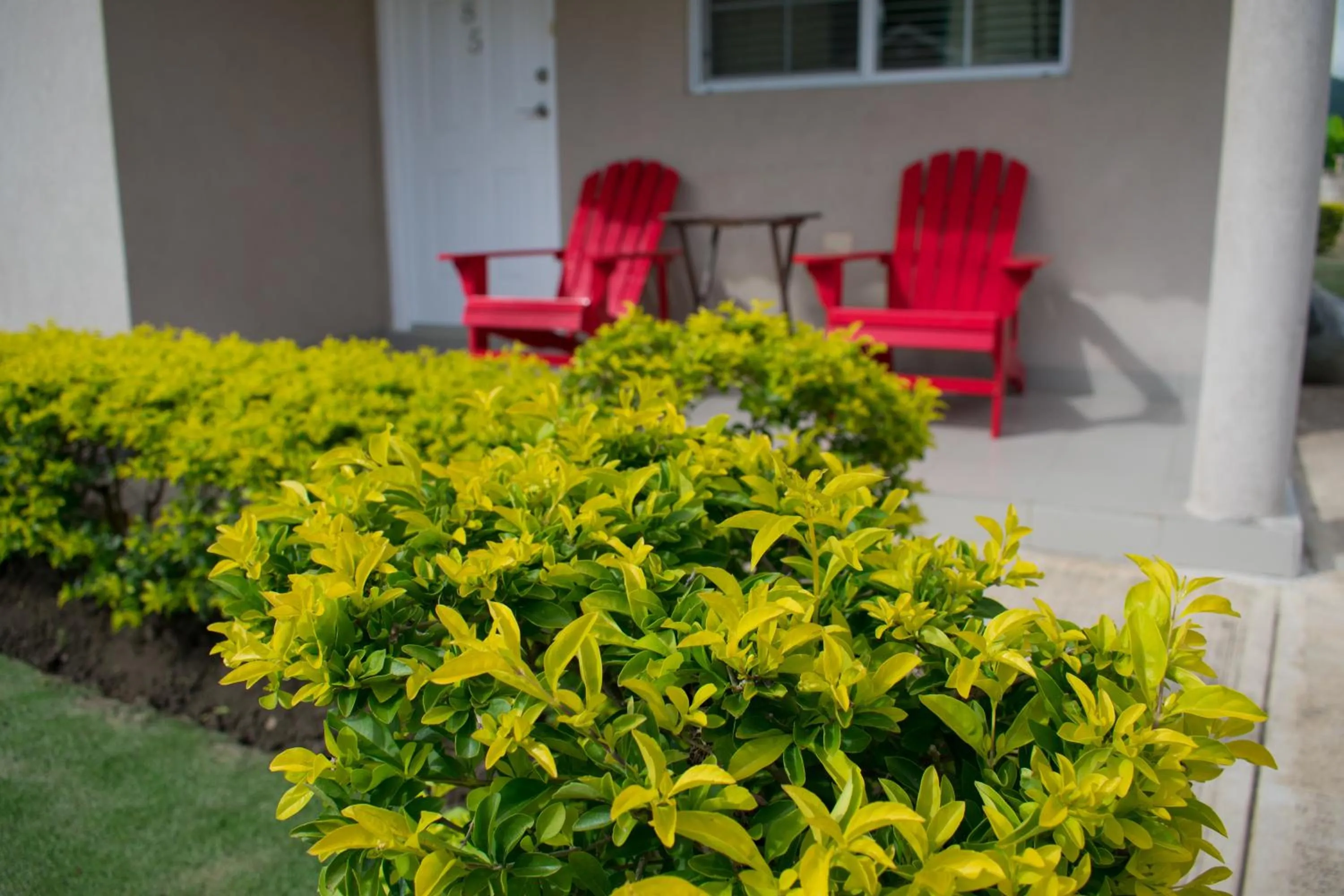 Garden view in Casa Victoria Golf Retreat