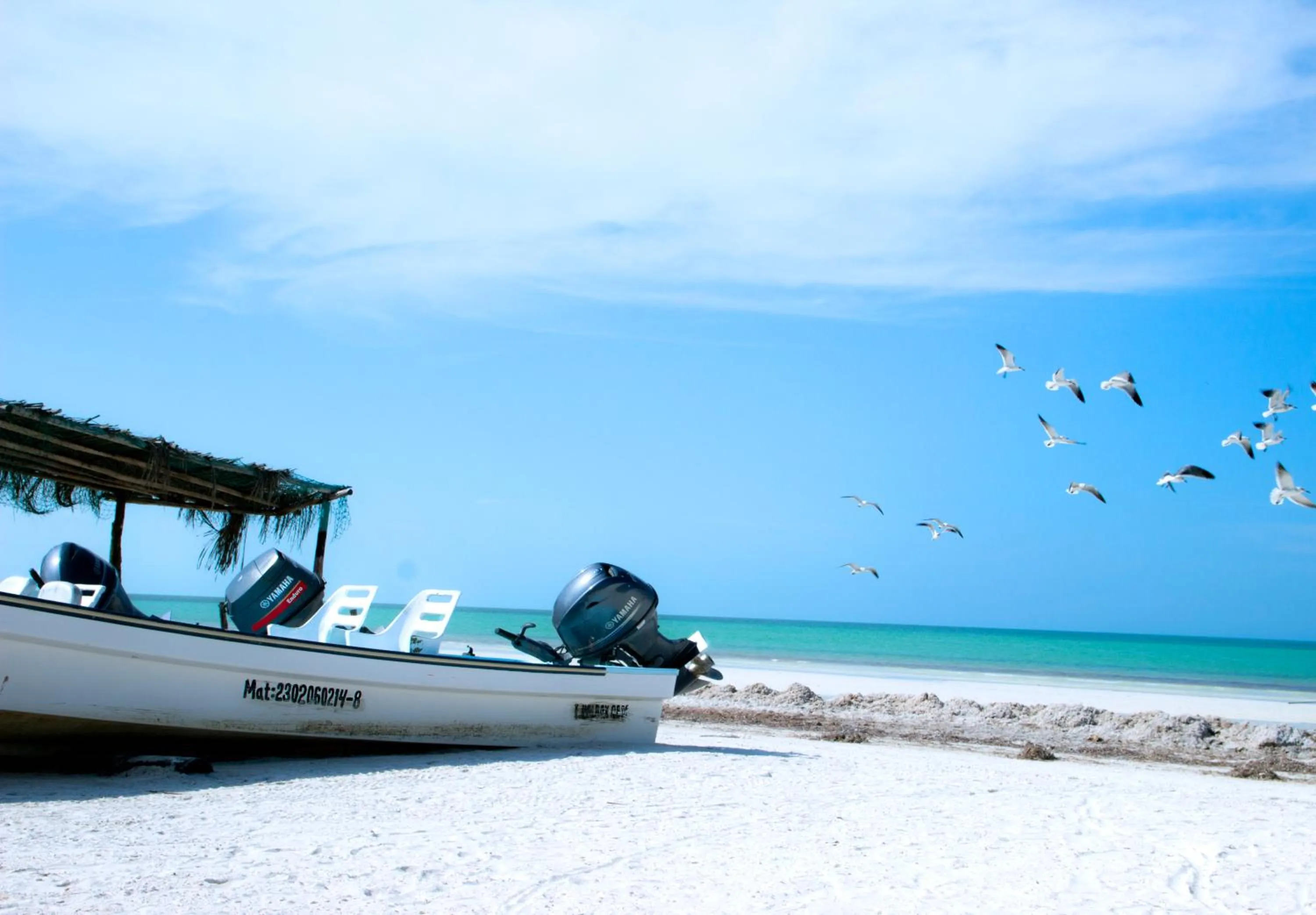 Beach in Villas Margaritas Holbox