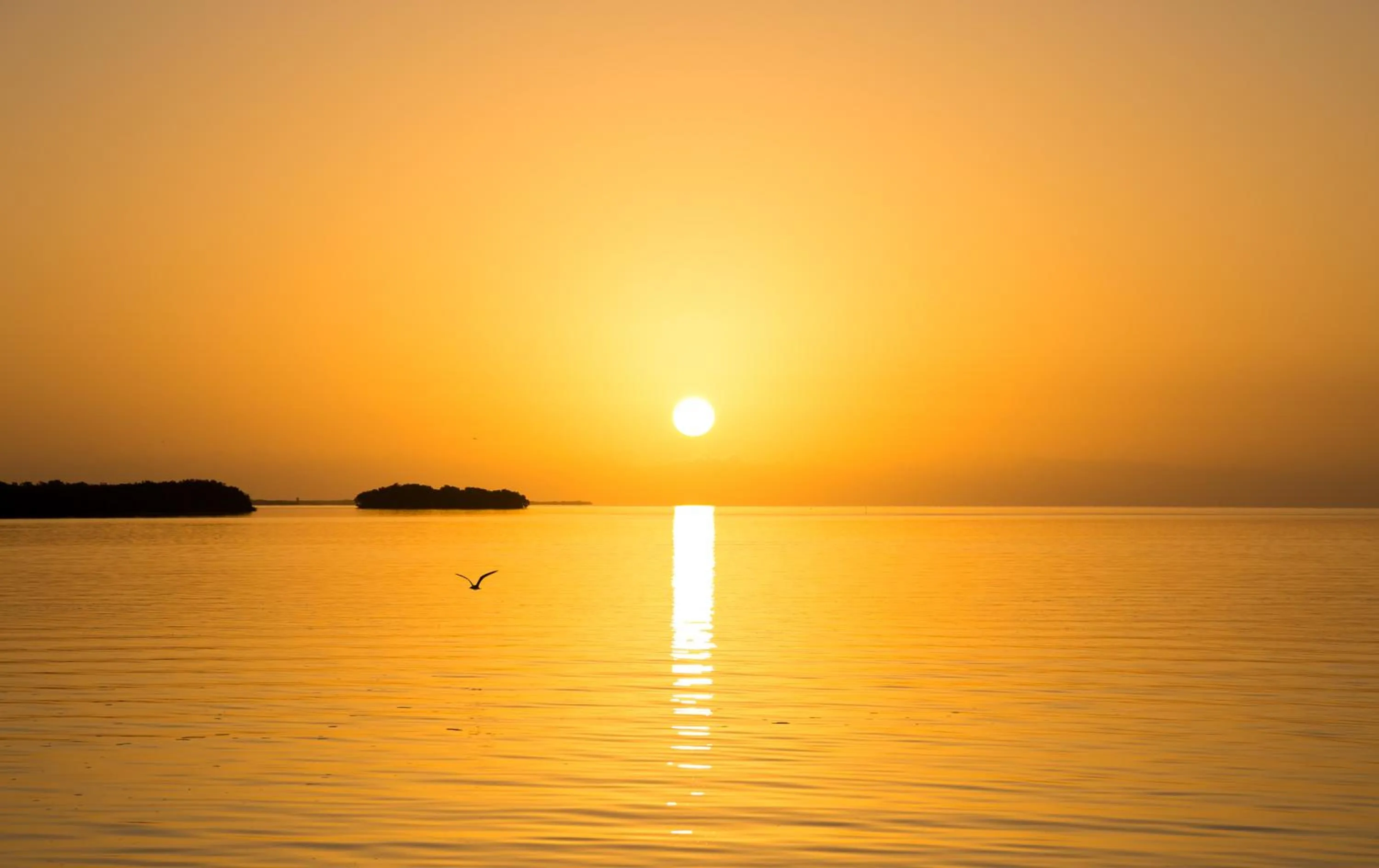 Natural landscape in Villas Margaritas Holbox