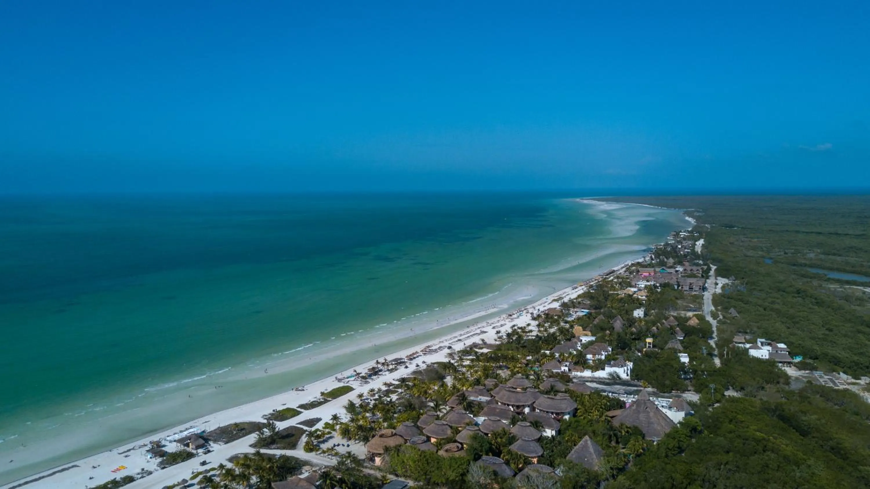 Natural landscape in Villas Margaritas Holbox