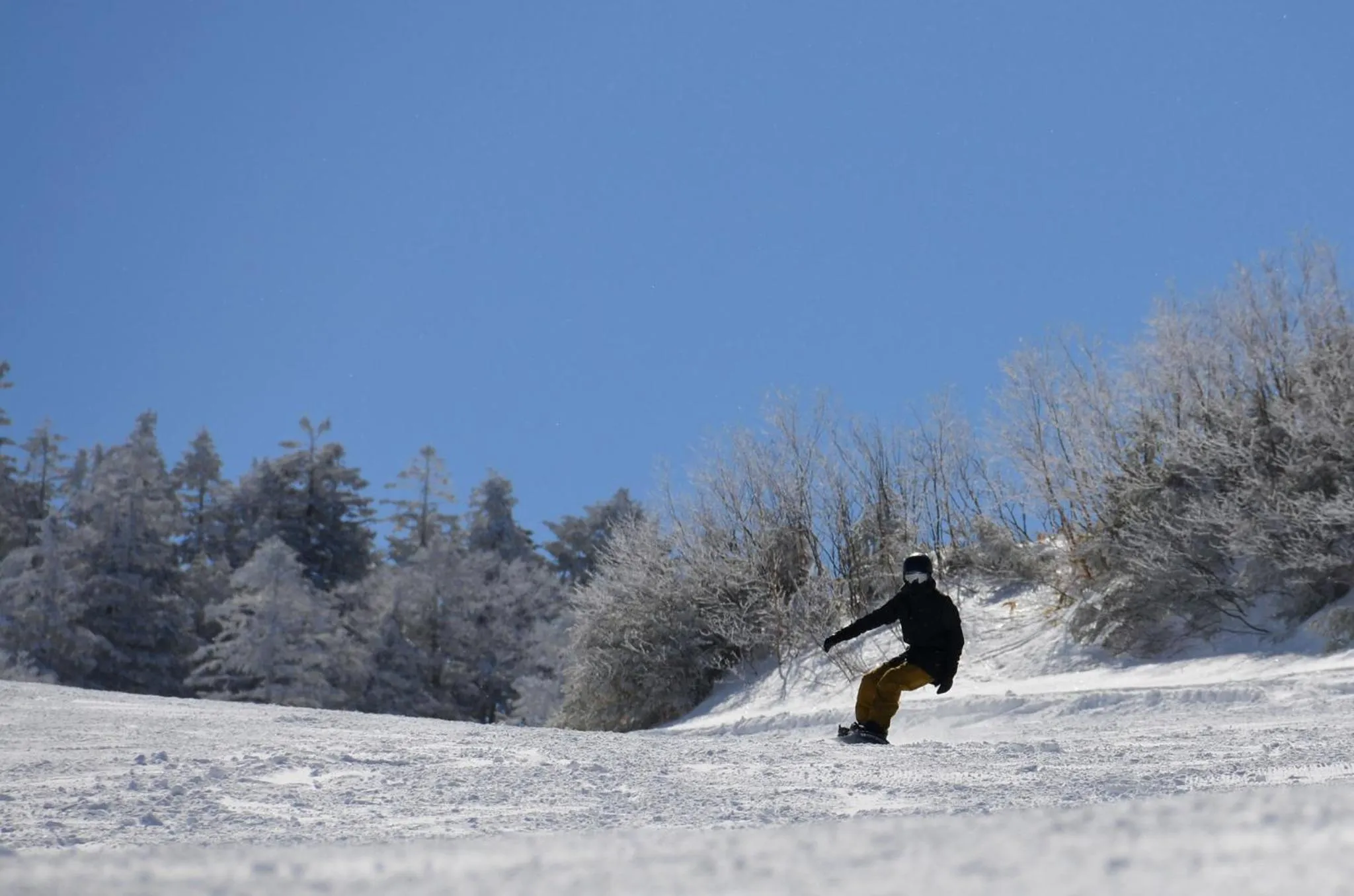 Skiing in Shiga Ichii Hotel
