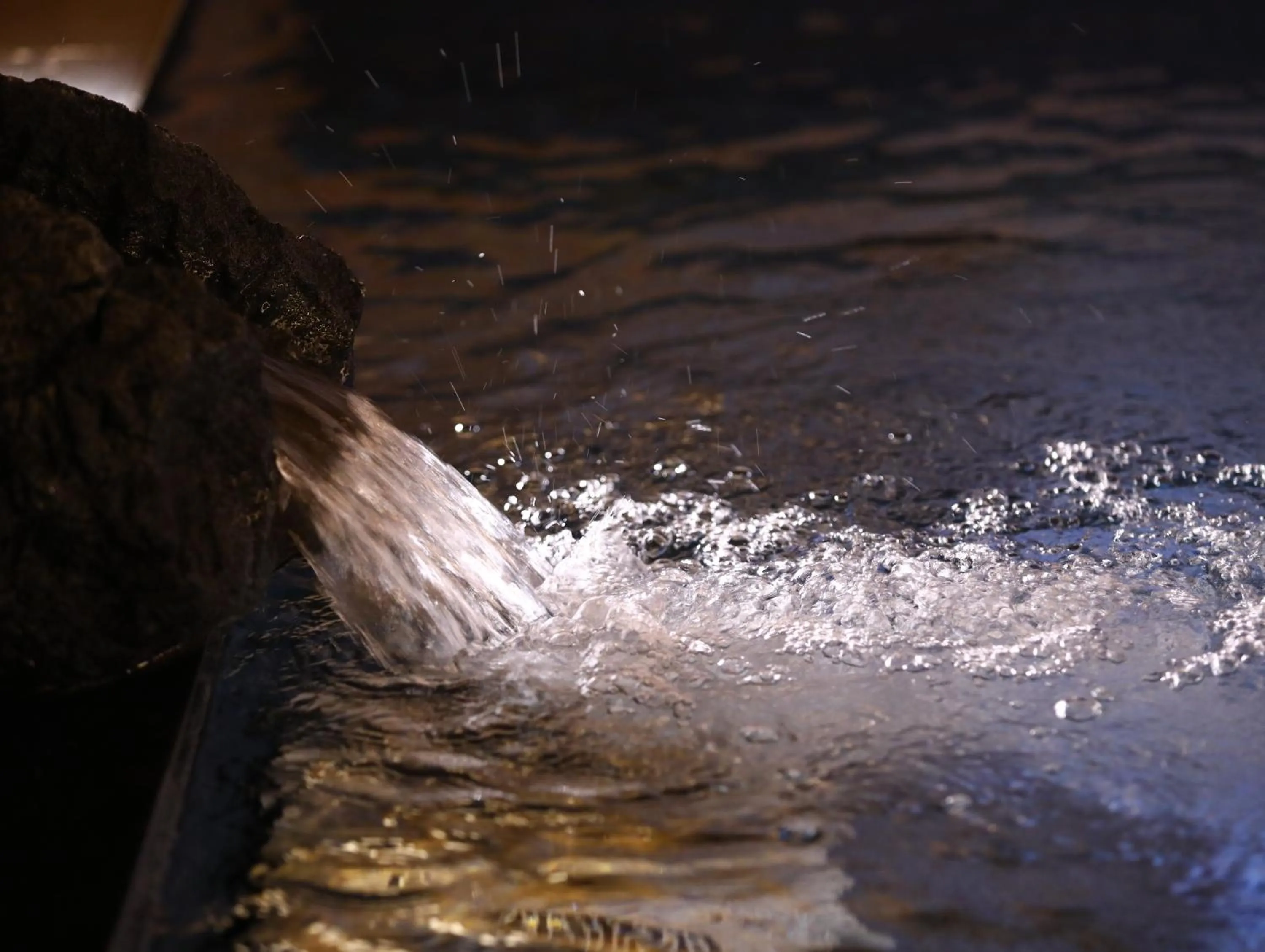 Hot Spring Bath in Shiga Ichii Hotel