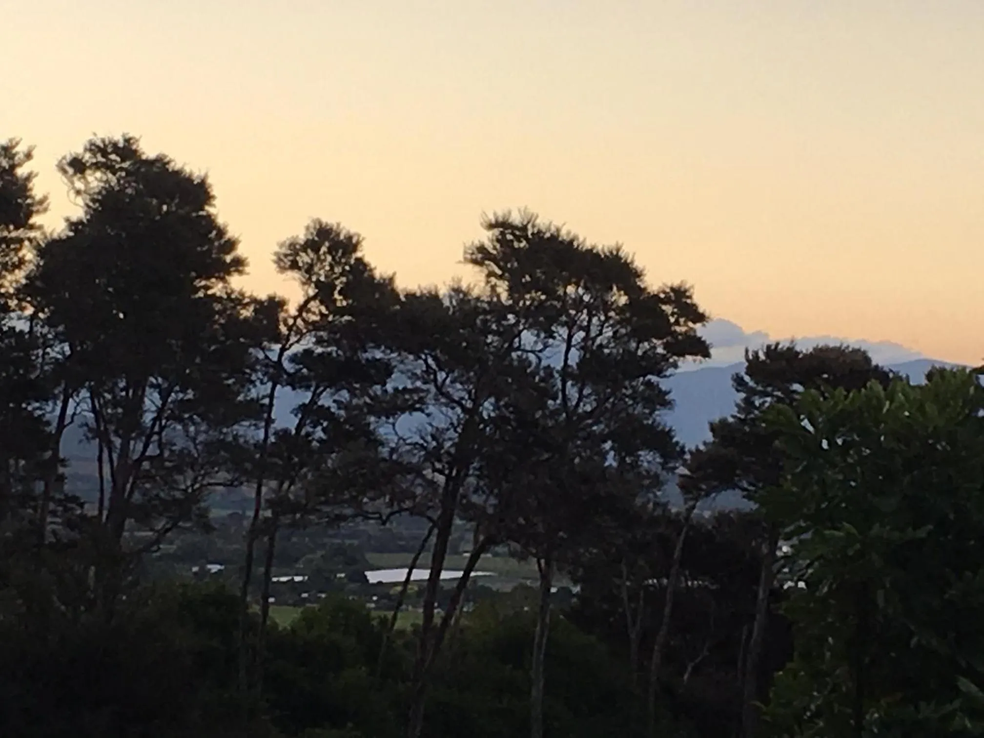 Garden view in The Pear Orchard Lodge
