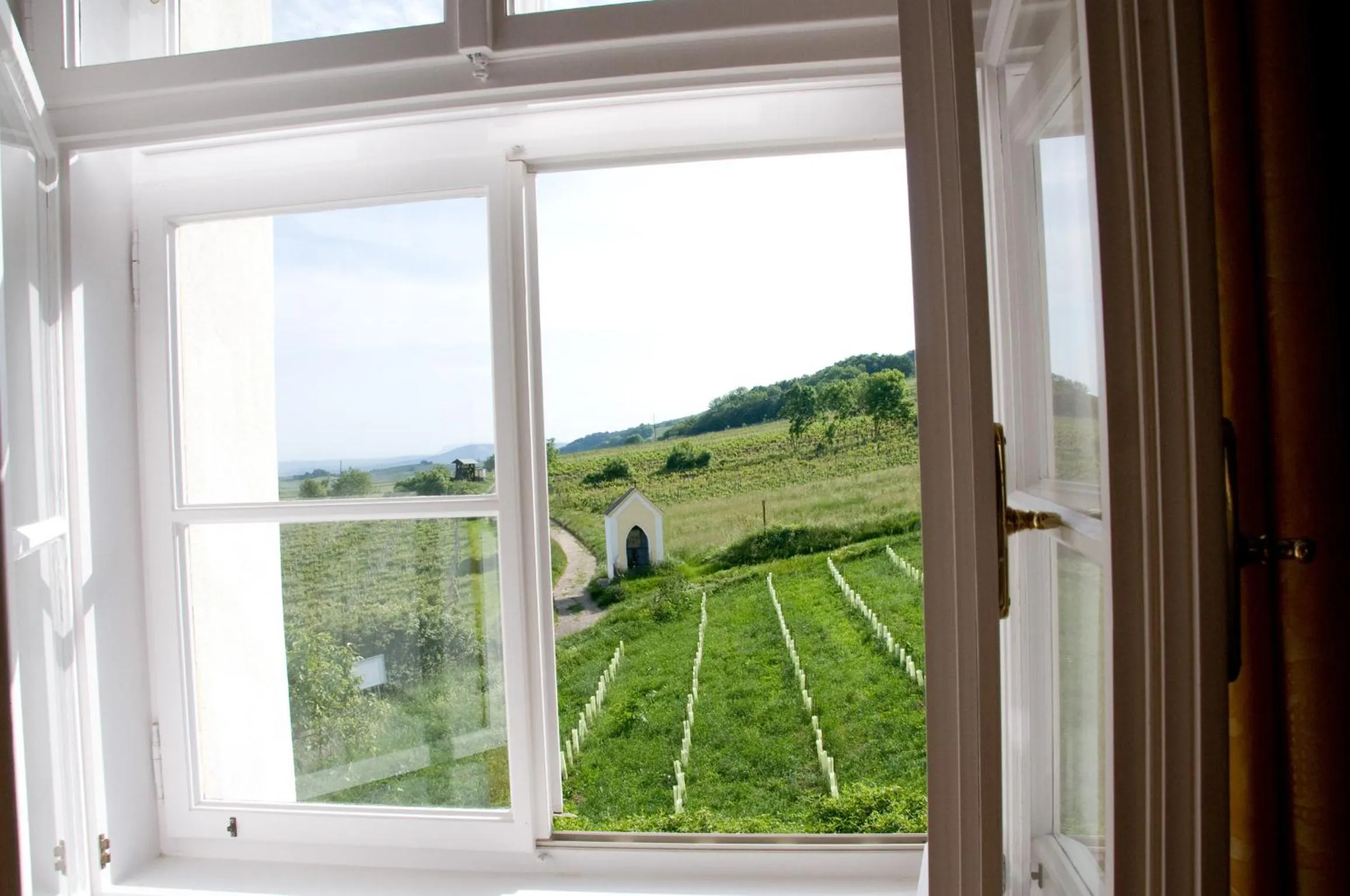 Garden view in Schloss Gumpoldskirchen