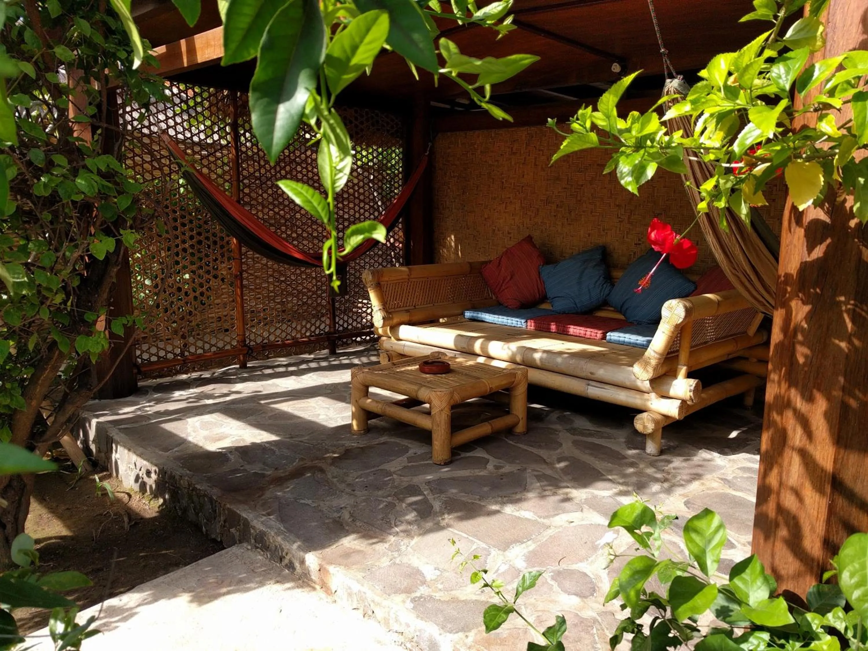 Property building in Mango Dive & Bungalow