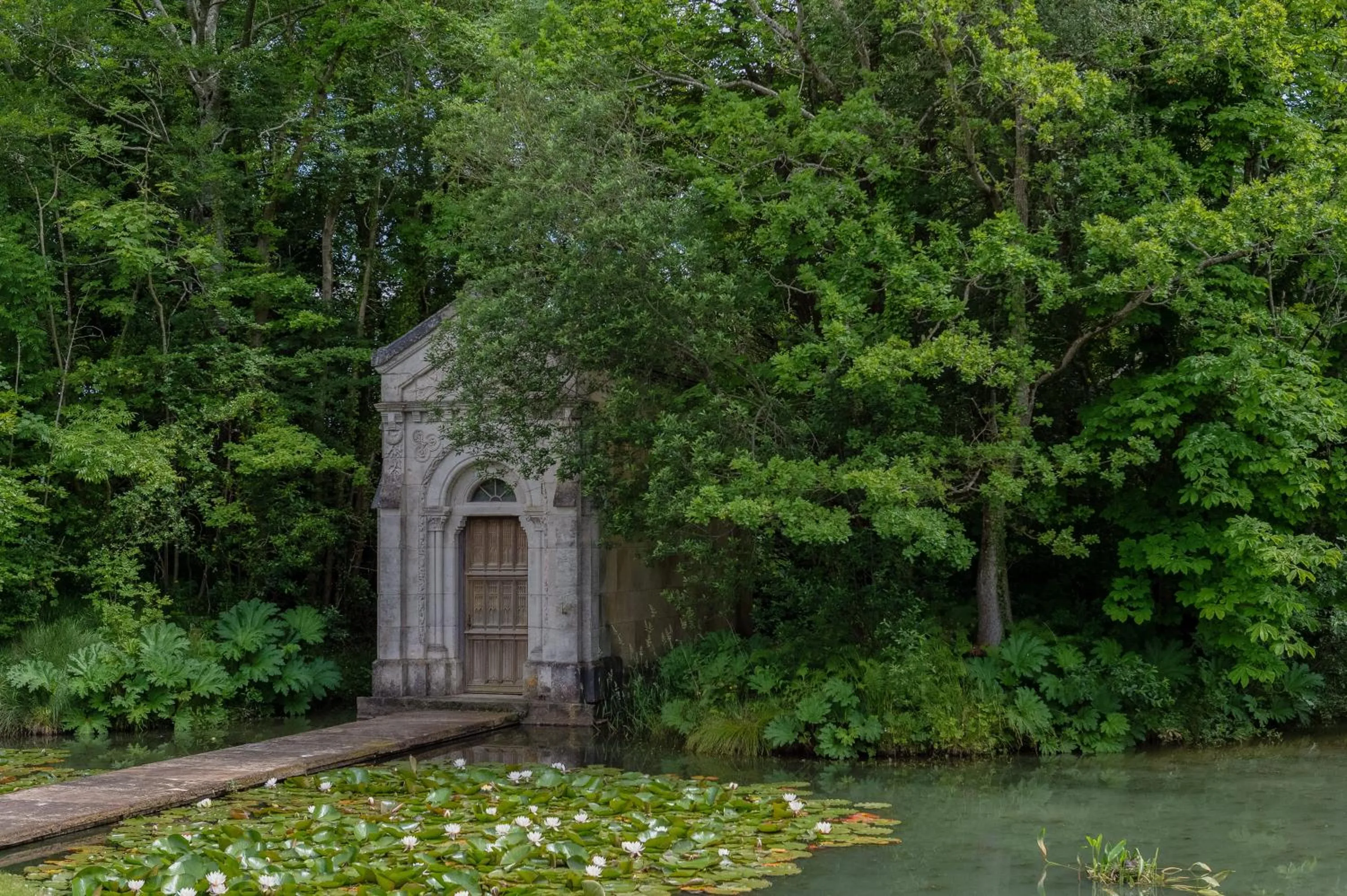 Lake view in Cliff at Lyons